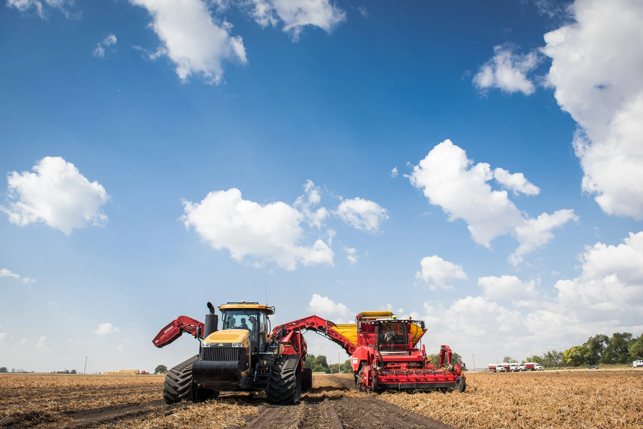 Harvest 2017-0006.JPG