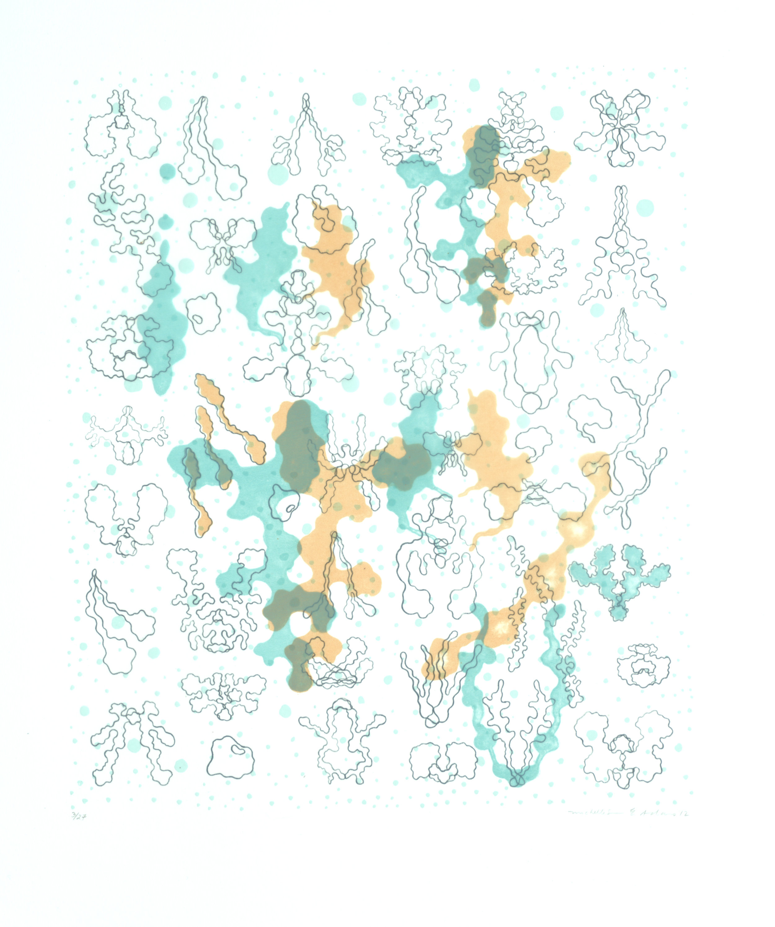 Aggregations III, 2012, two color lithograph on vellum, 20” x 18”