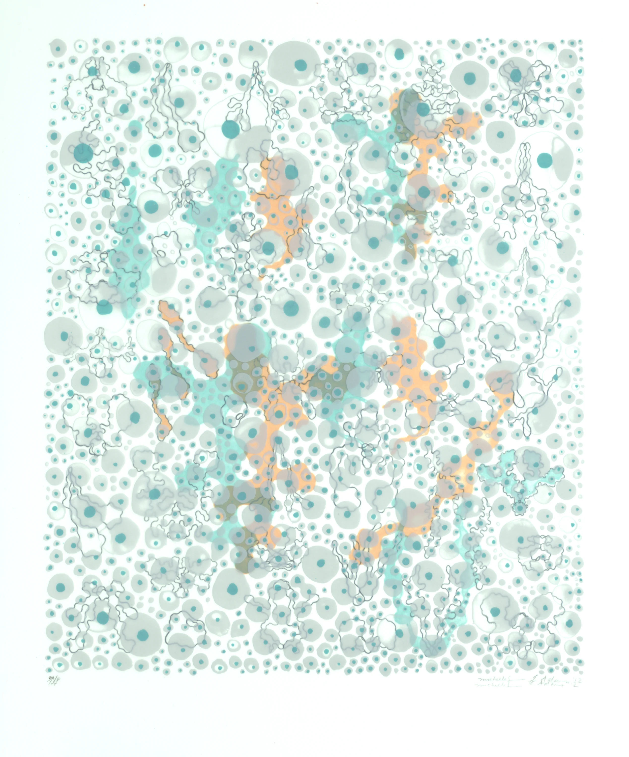 Aggregations III, 2012, two color lithograph on vellum, 20” x 18”
