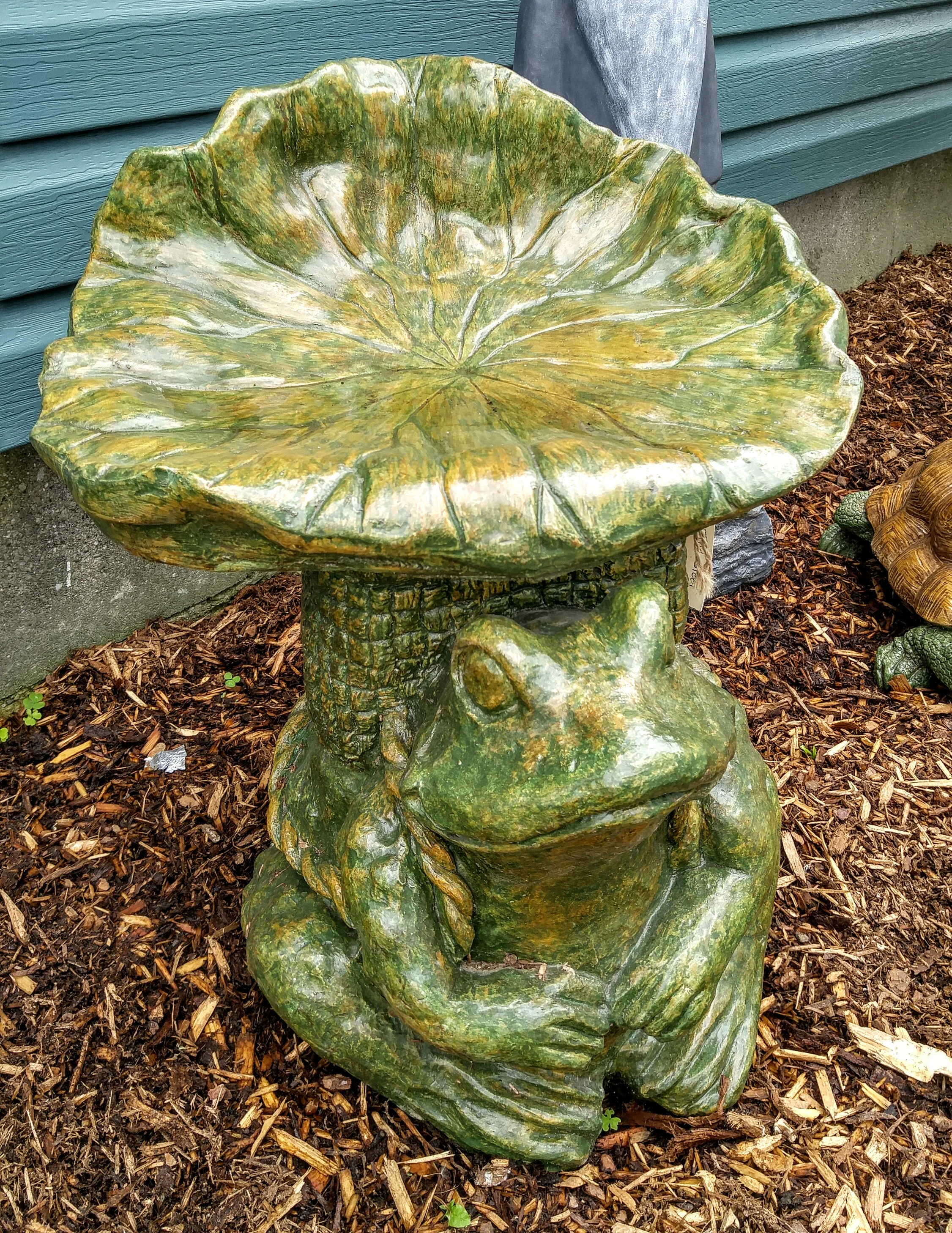 Toad Stool