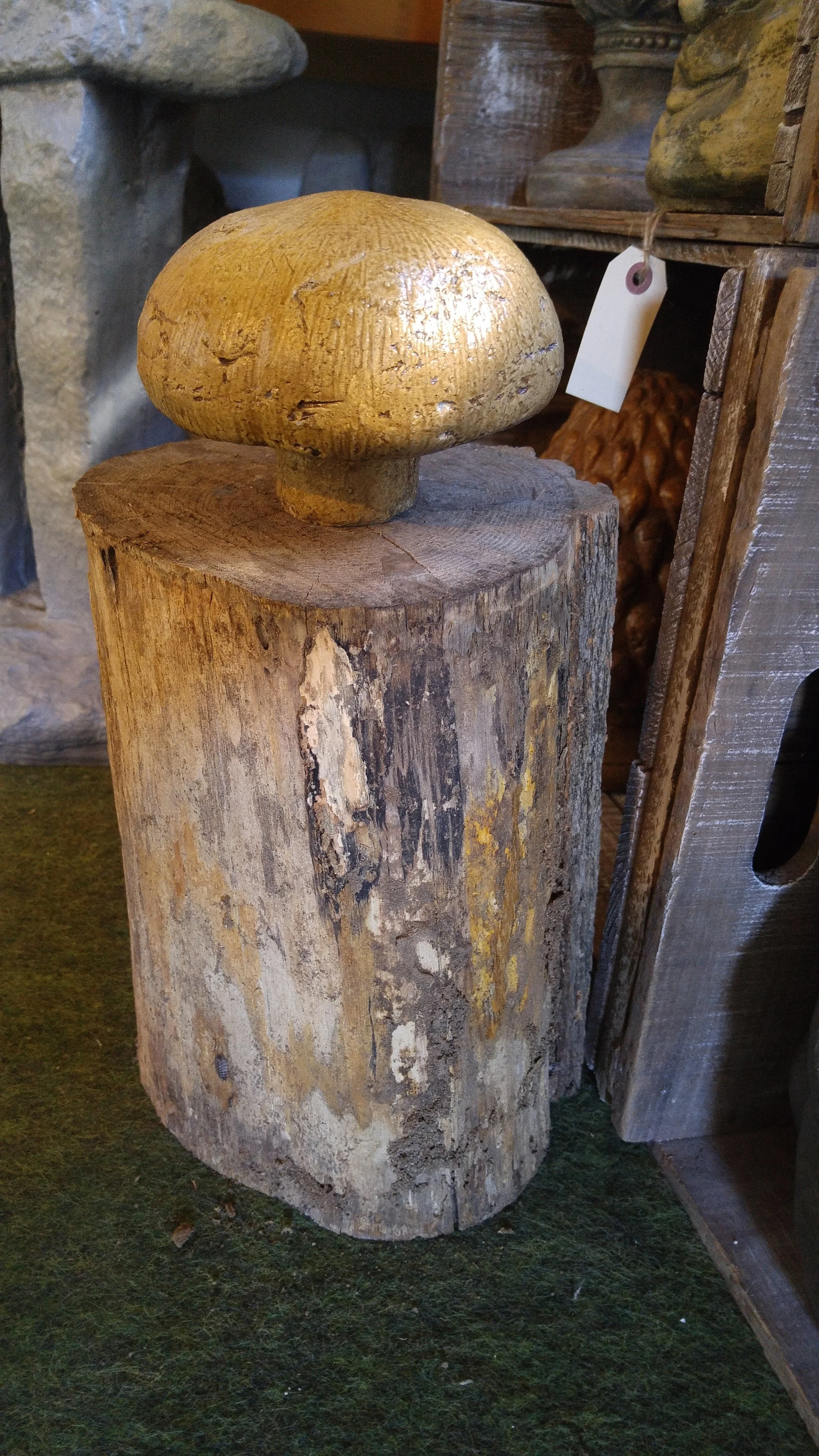 Toadstool - $30
