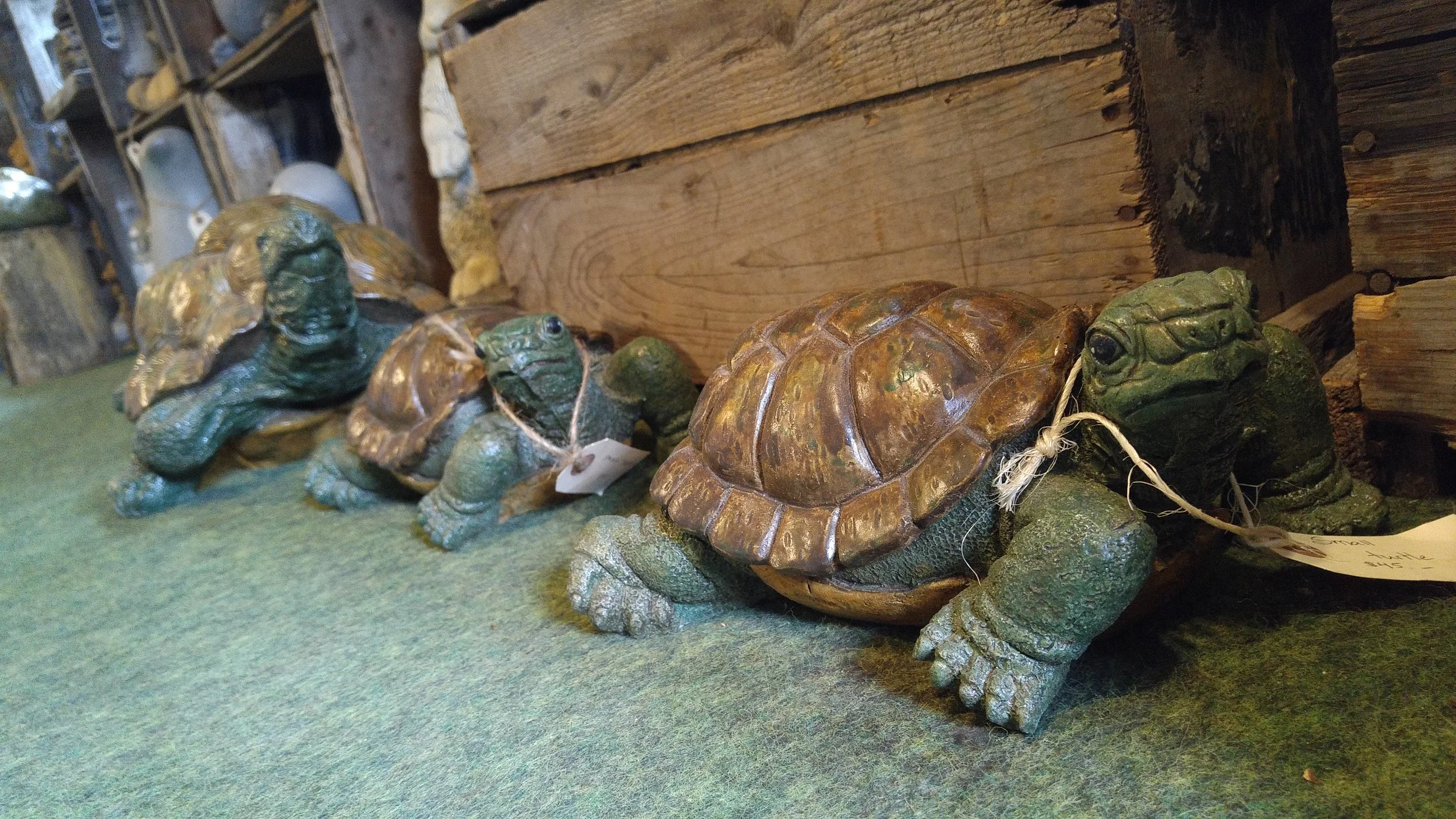 Turtles - Large $85, Small $45