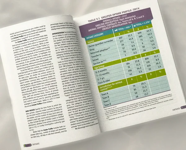Charts of numbers can look pretty bland and homogenized without the use of prioritized emphasis in the graphics. Color and type treatments were used to not only differentiate the importance of information but also create interest in order to keep the reader reading.