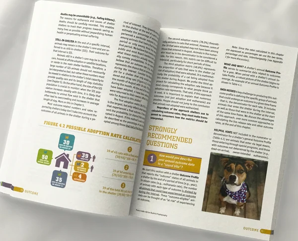 Info-graphics were also used sporadically in the book along with adorable photos of pups and kitties. How can anyone resist the cuteness?