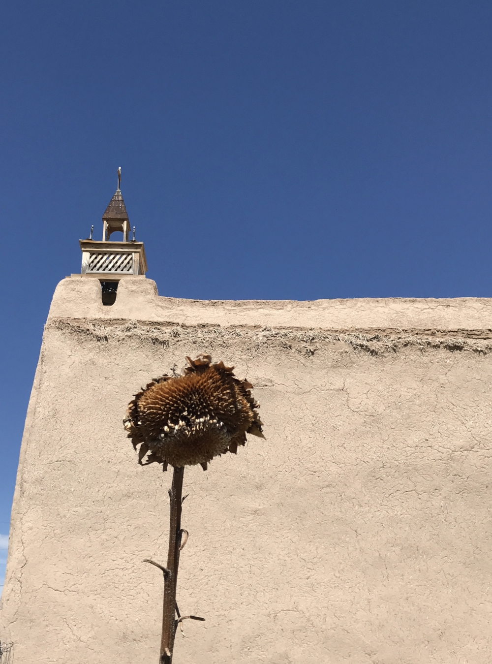 All the textures of the New Mexico landscapes, even if they are mostly shades of brown, are simply beautiful.