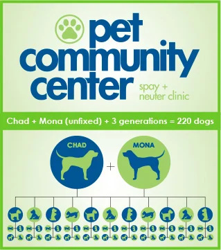 The graphic above shows what just three generations of pups can lead to with population numbers: 220 dogs. This is just from two pups!