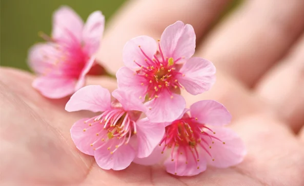 PHOTO CREDIT: iStock.com