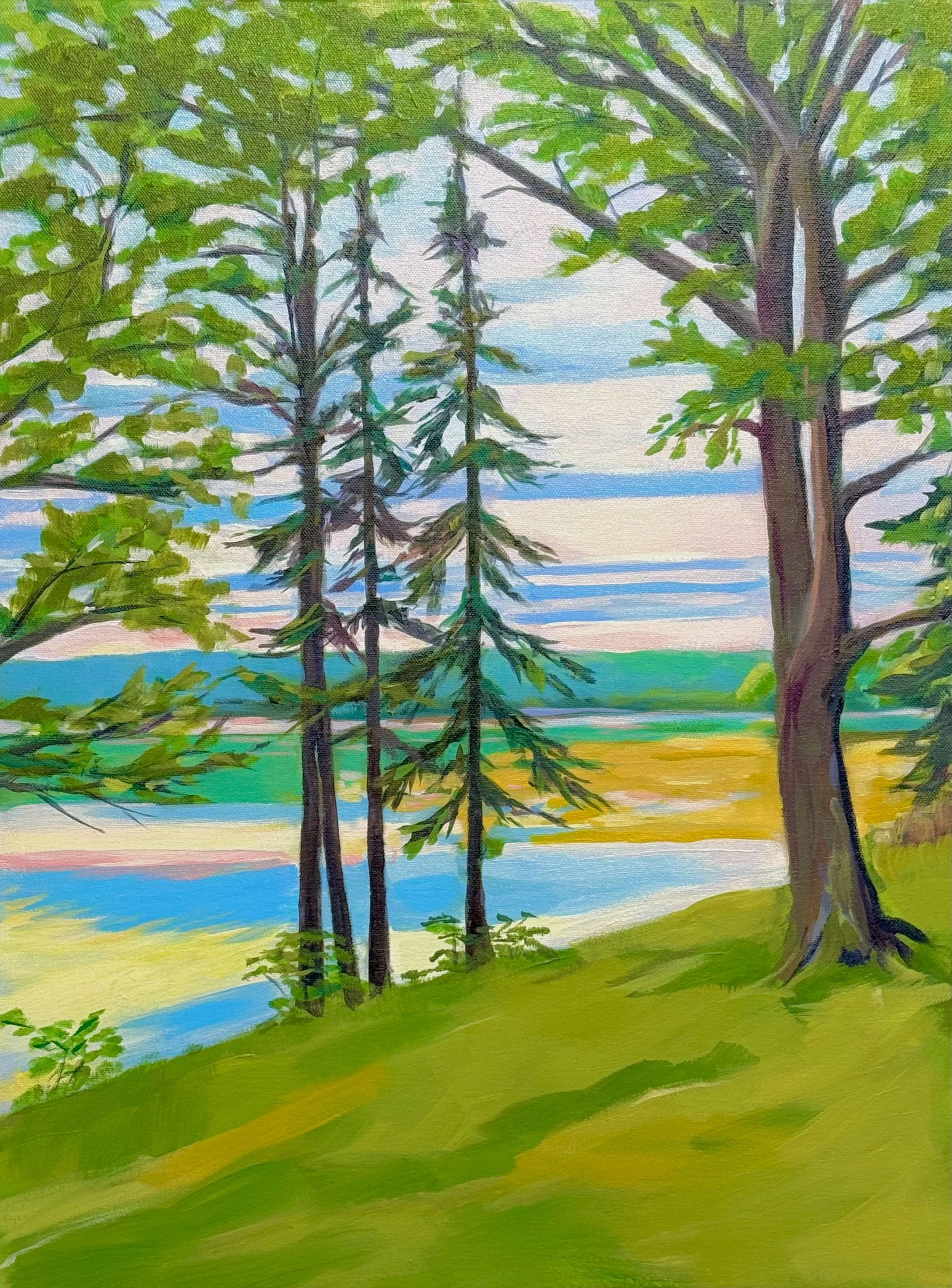 Trees by Harpswell Sound