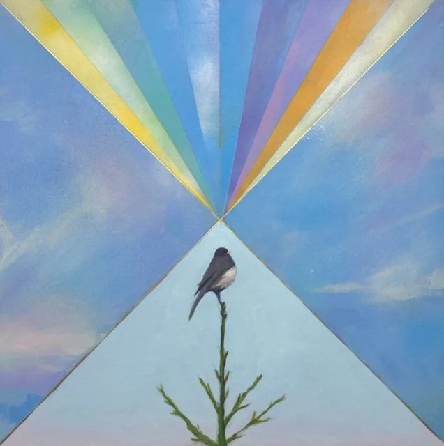 New day with dark-eyed Junco