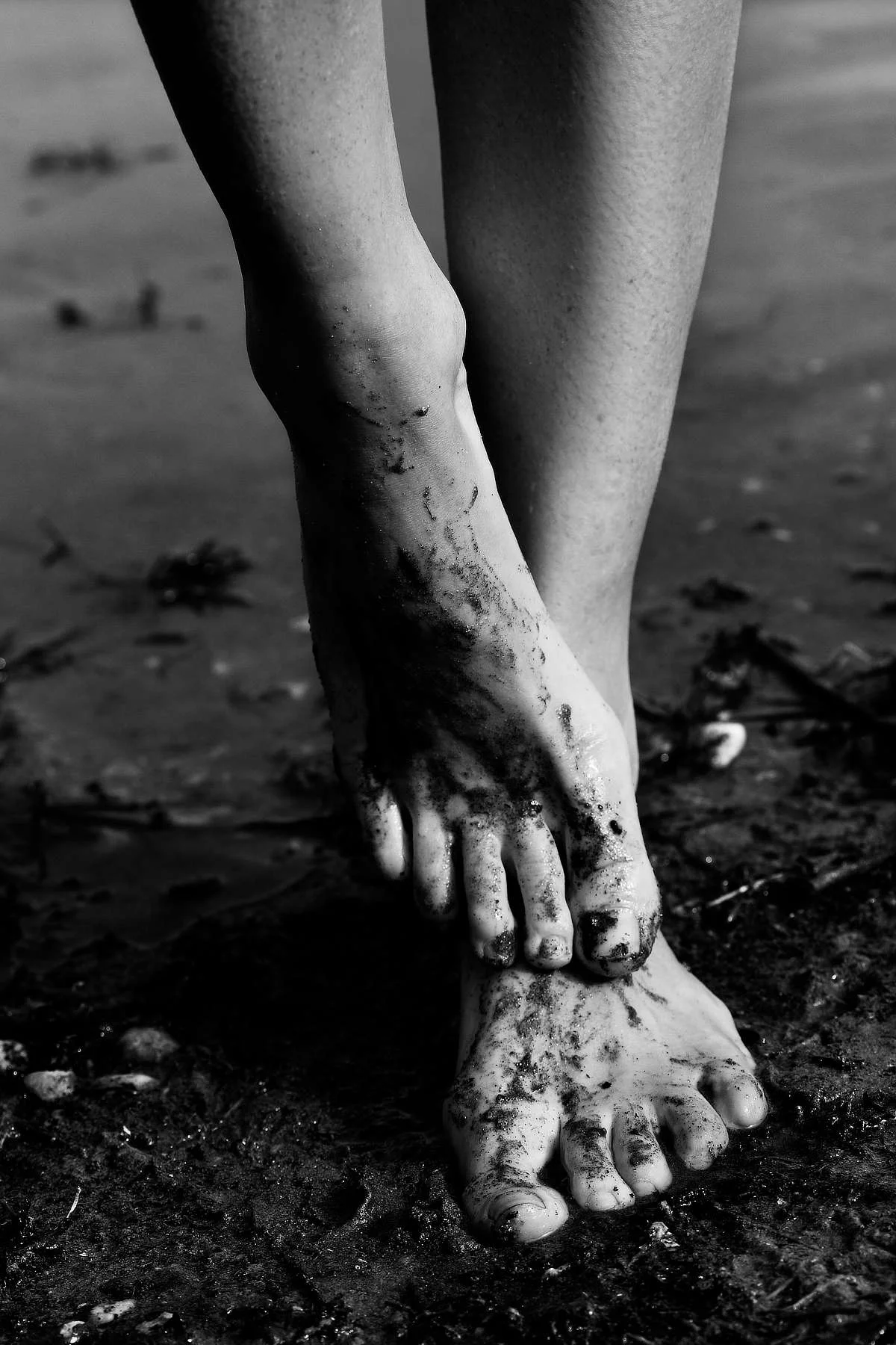 Sylvie_Castioni-lelac3.jpg