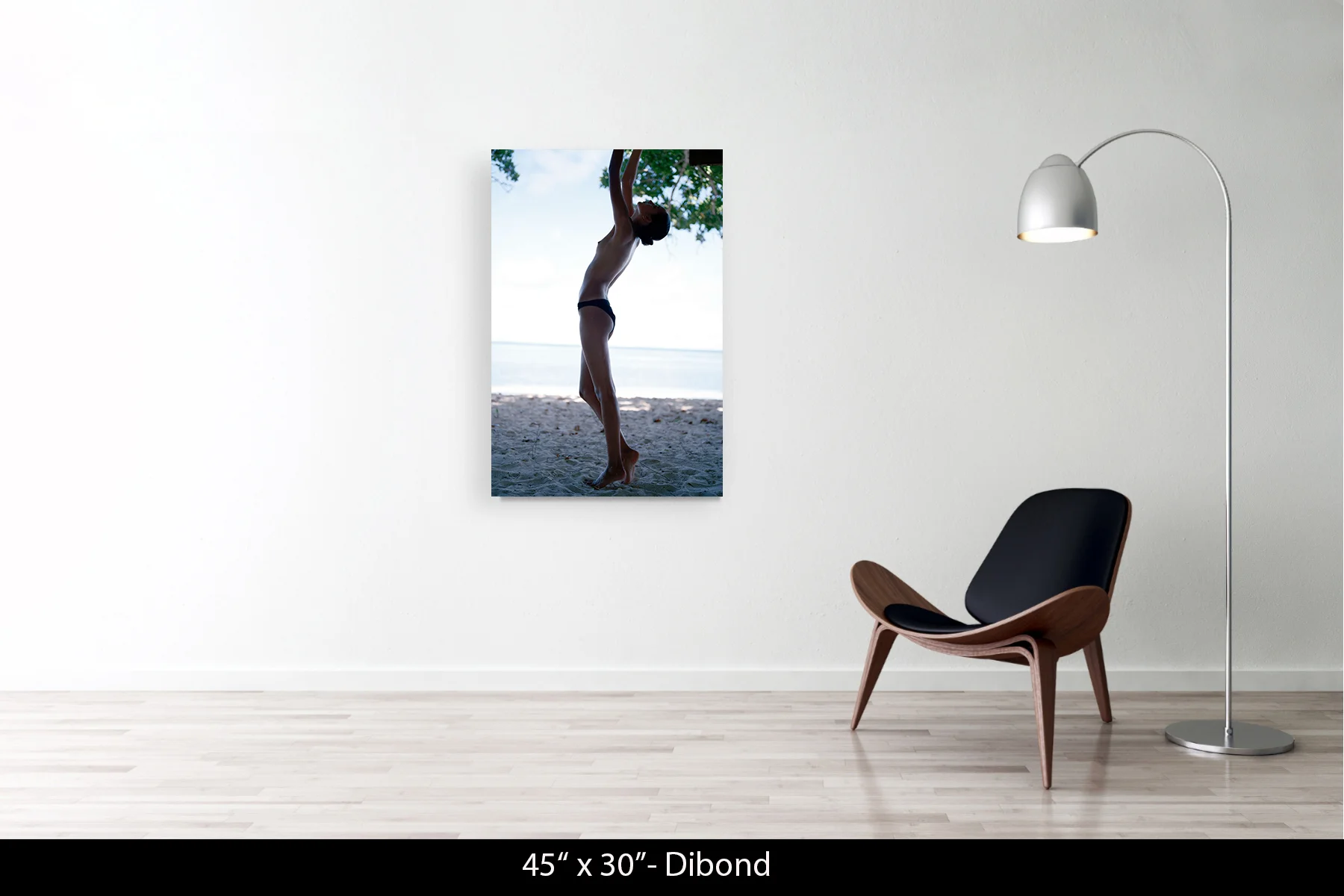 45"x30" | Dibond