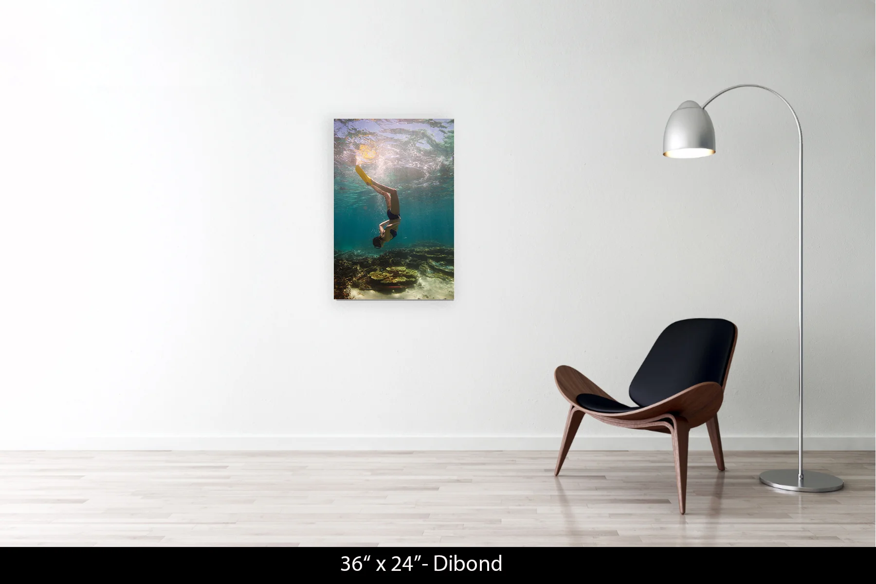 36"x24" | Dibond