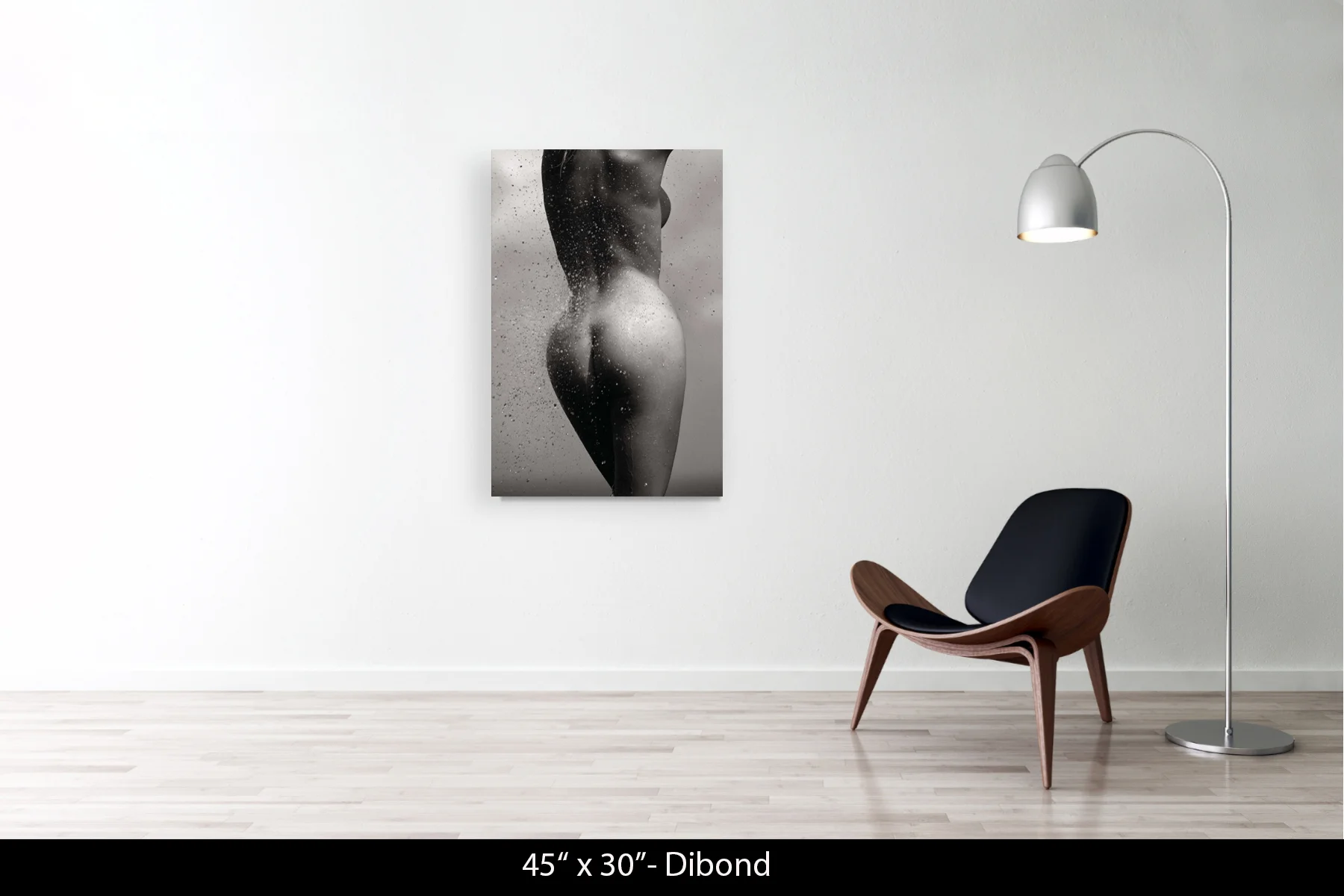 45"x30" | Dibond
