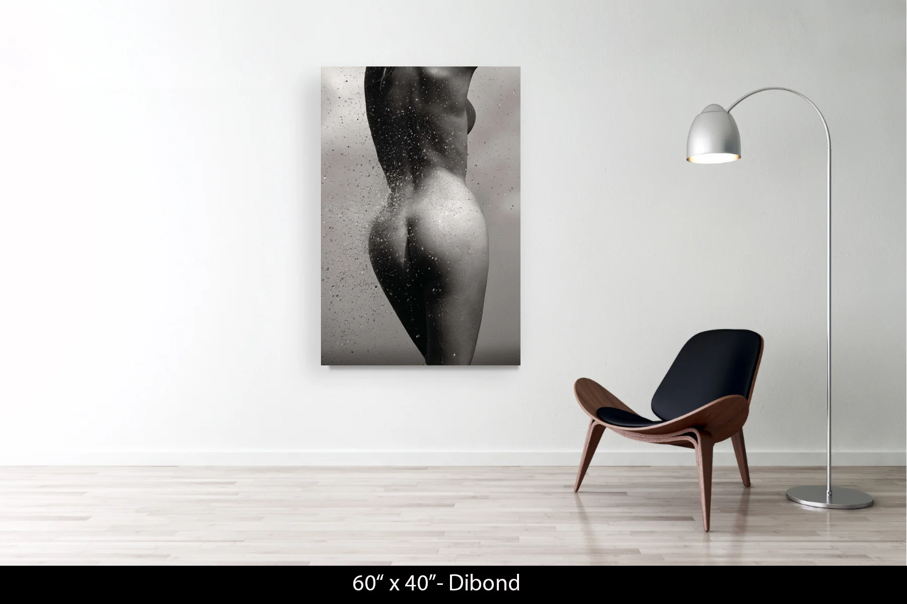 60"x40" | Dibond