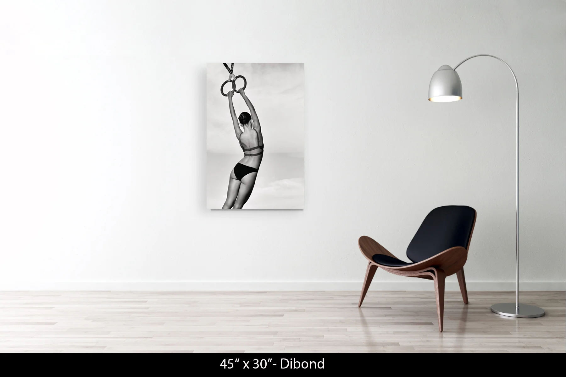 45"x30" | Dibond
