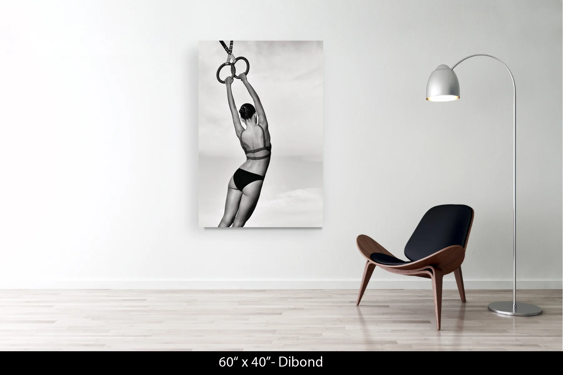 60"x40" | Dibond