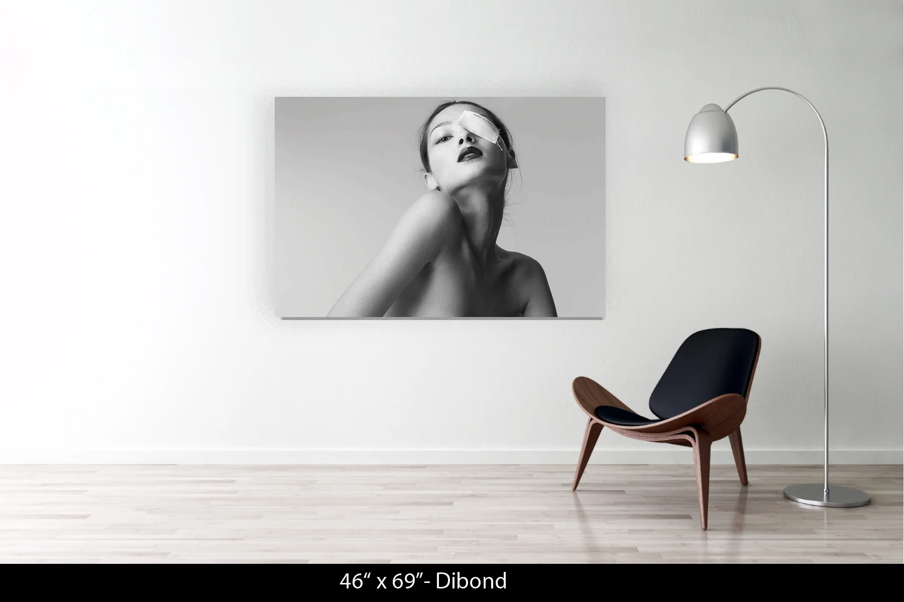 46"x69" | Dibond