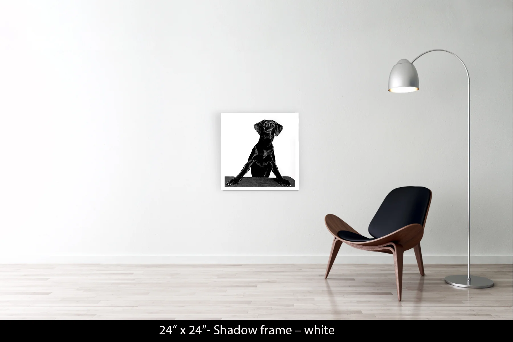 24"x24" | Shadow Frame White