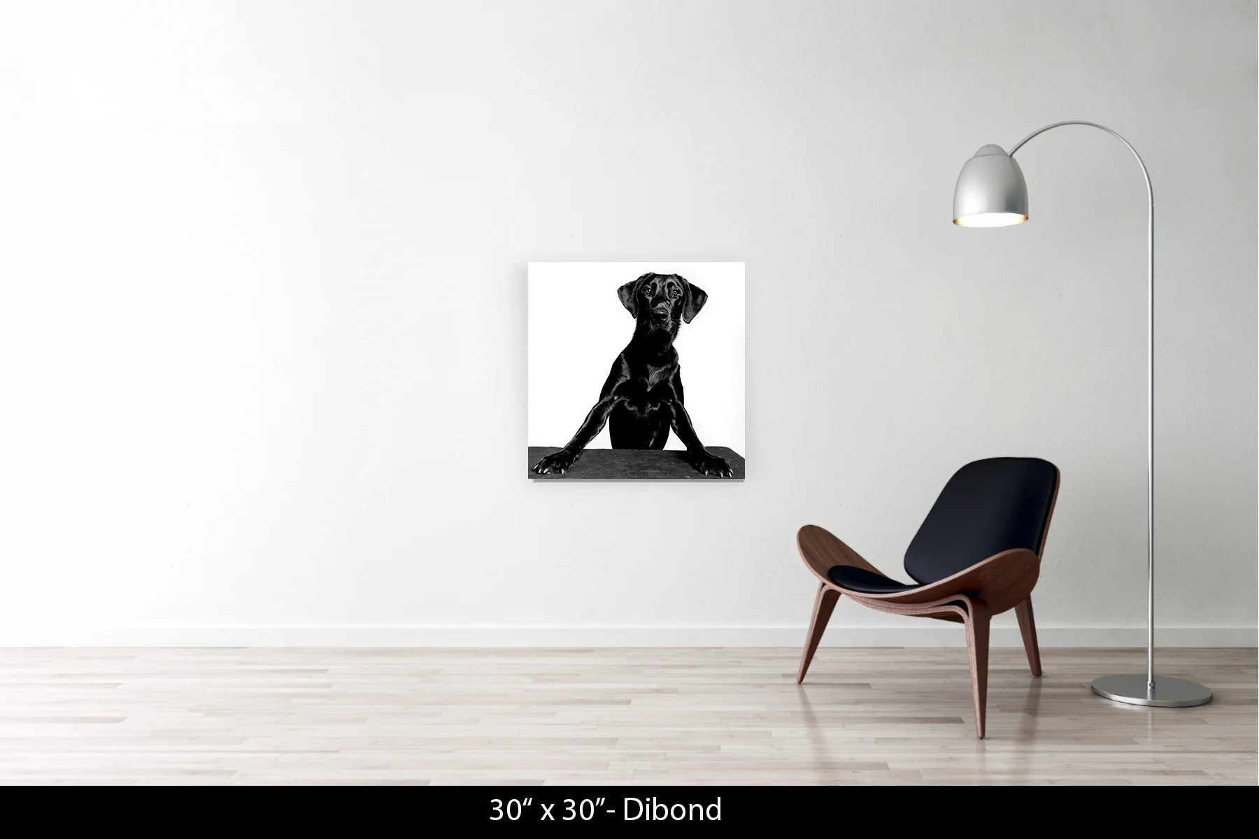 30"x30" | Dibond