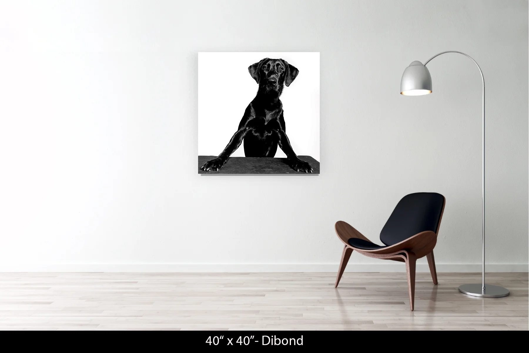 40"x40" | Dibond