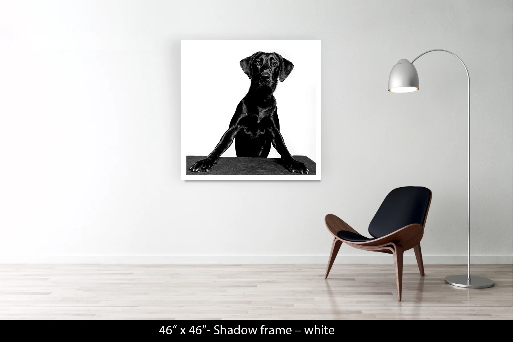 46"x46" | Shadow Frame White