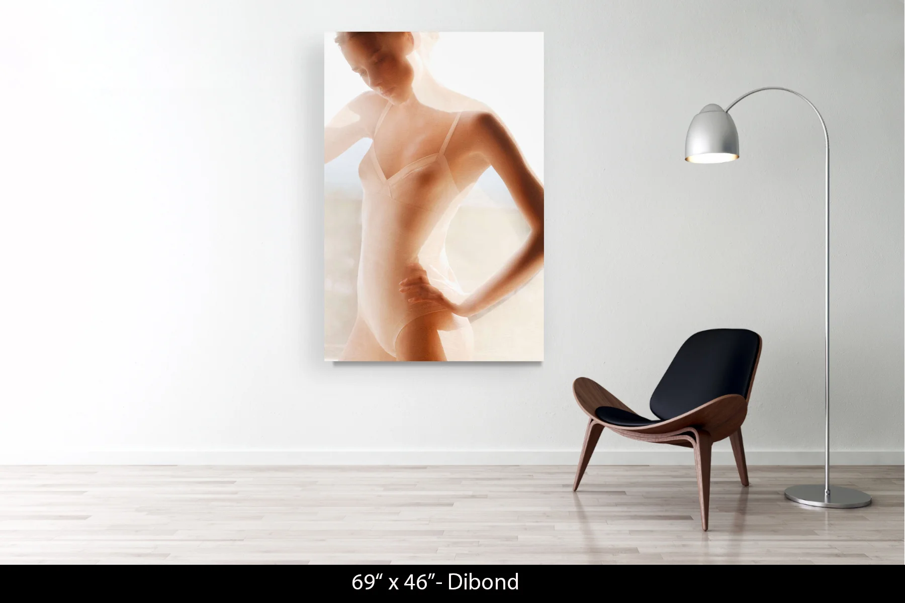 69"x46" | Dibond
