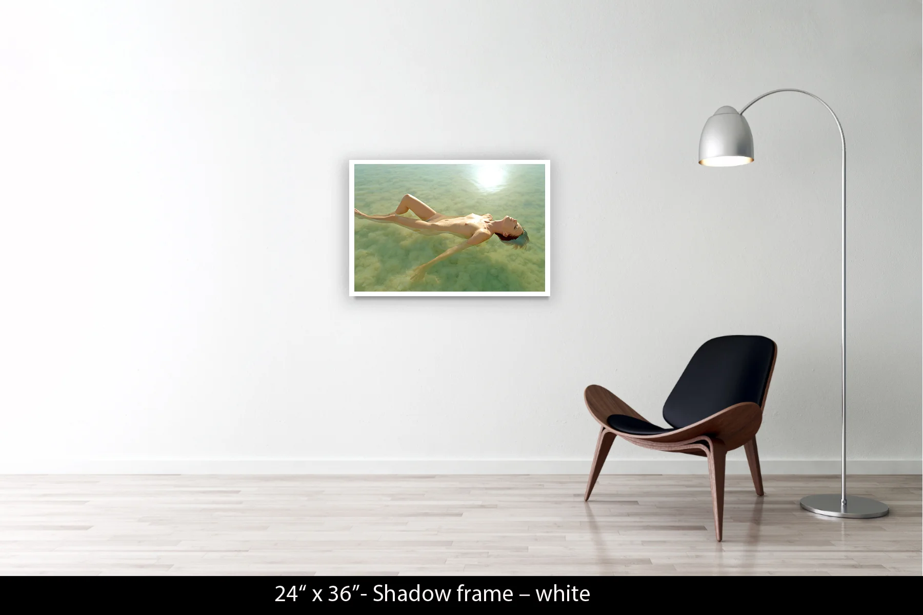 24"x36" | Shadow Frame White