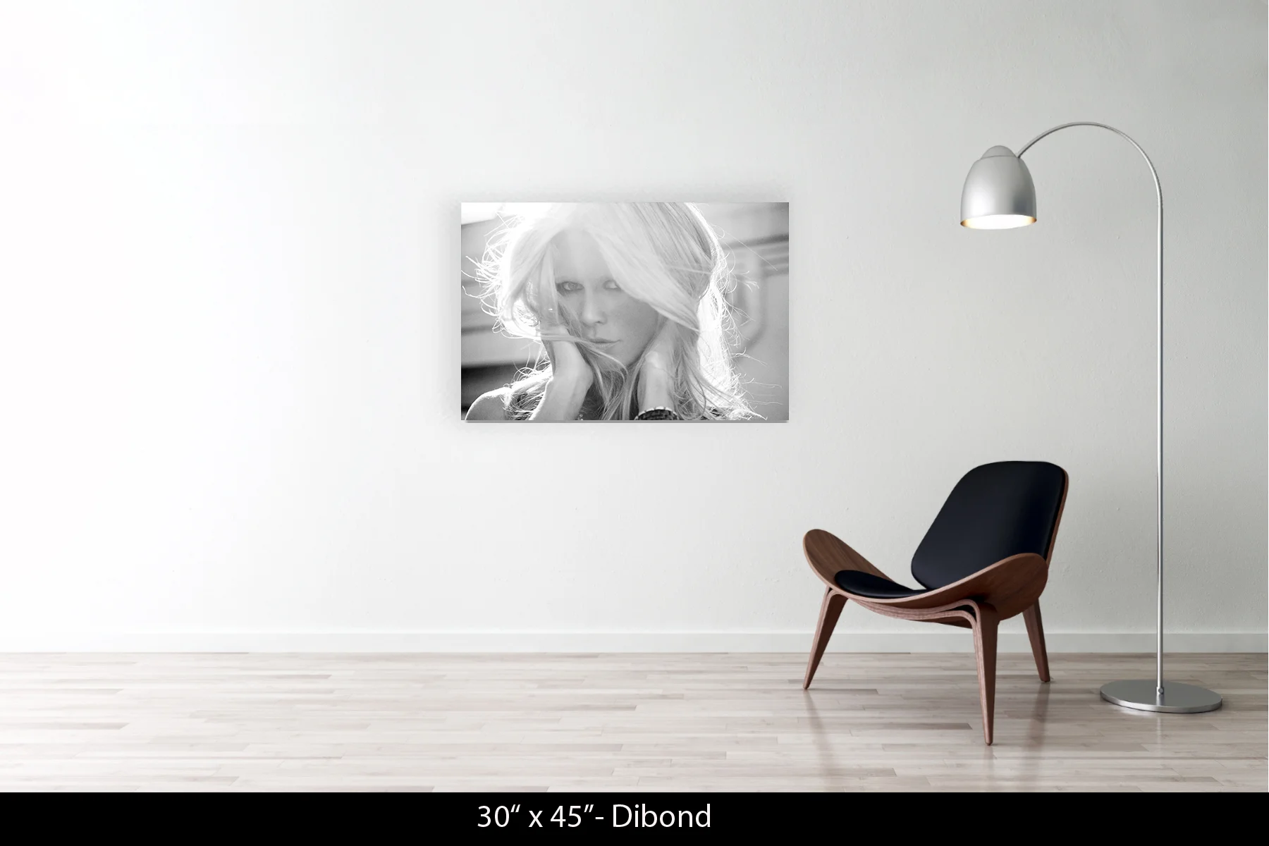 30"x45" | Dibond