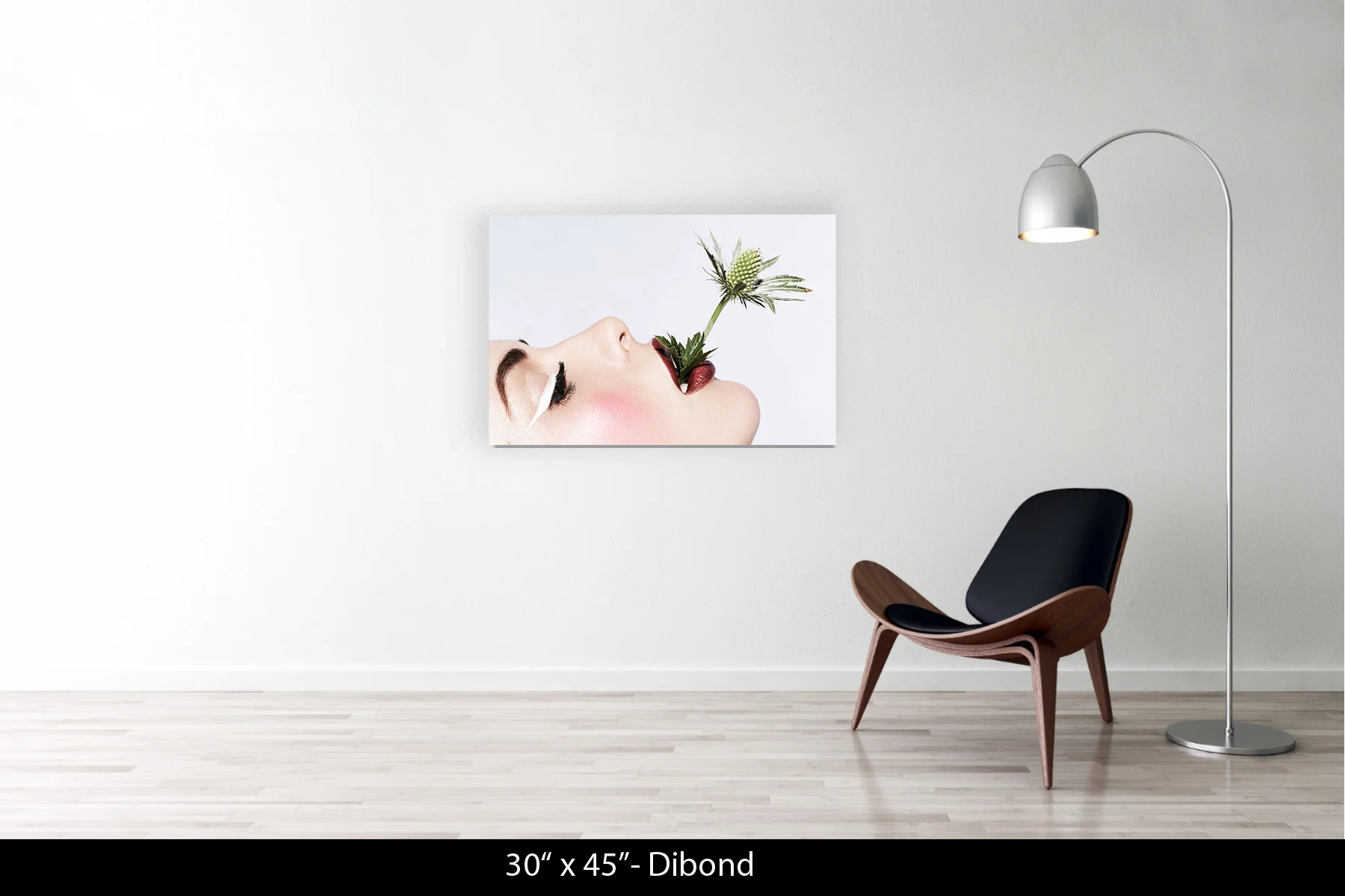 30"x45" | Dibond