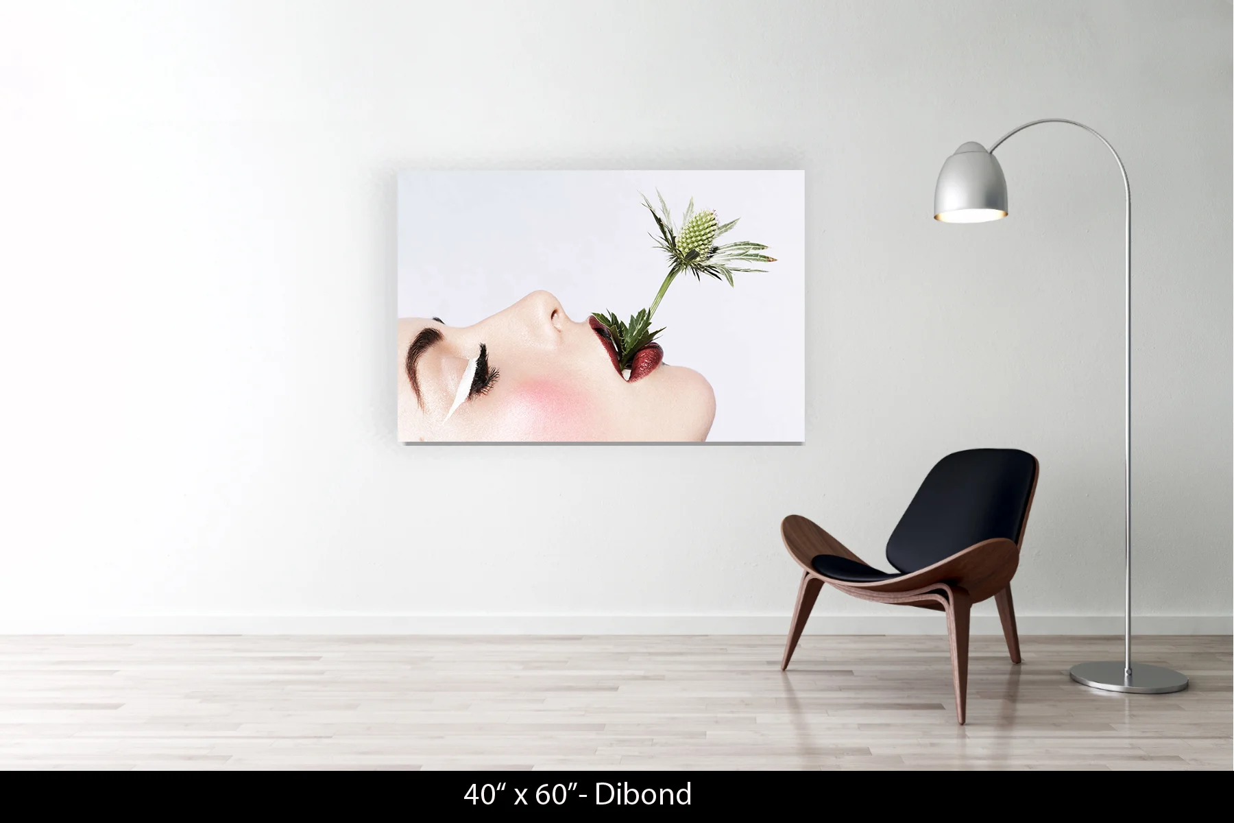 40"x60" | Dibond