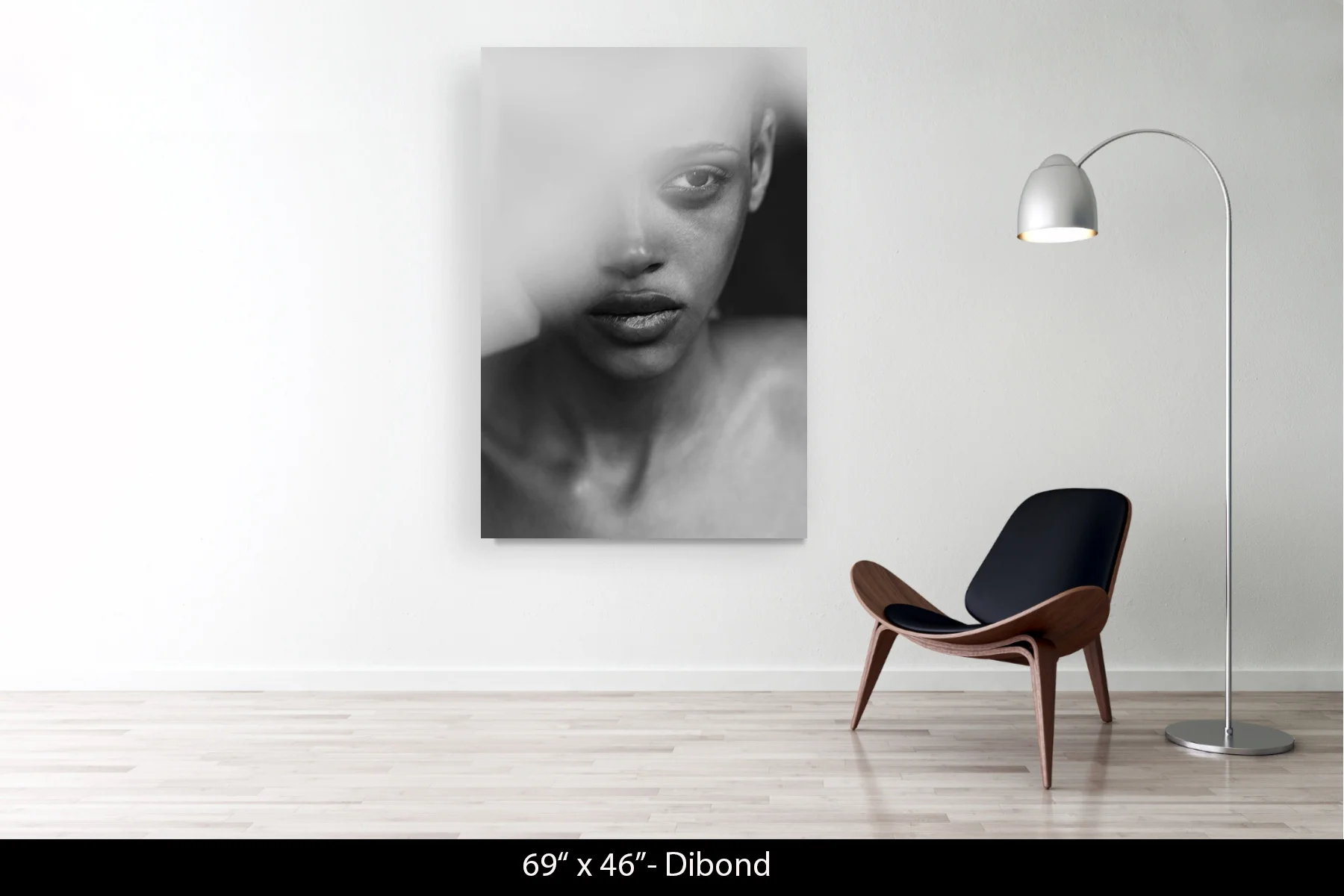 69"x46" | Dibond