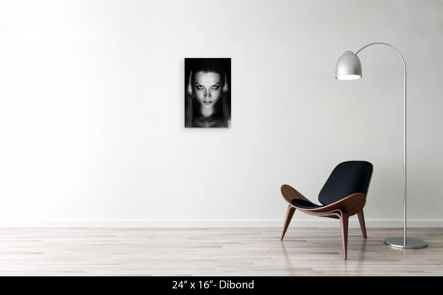 24"x16" | Dibond