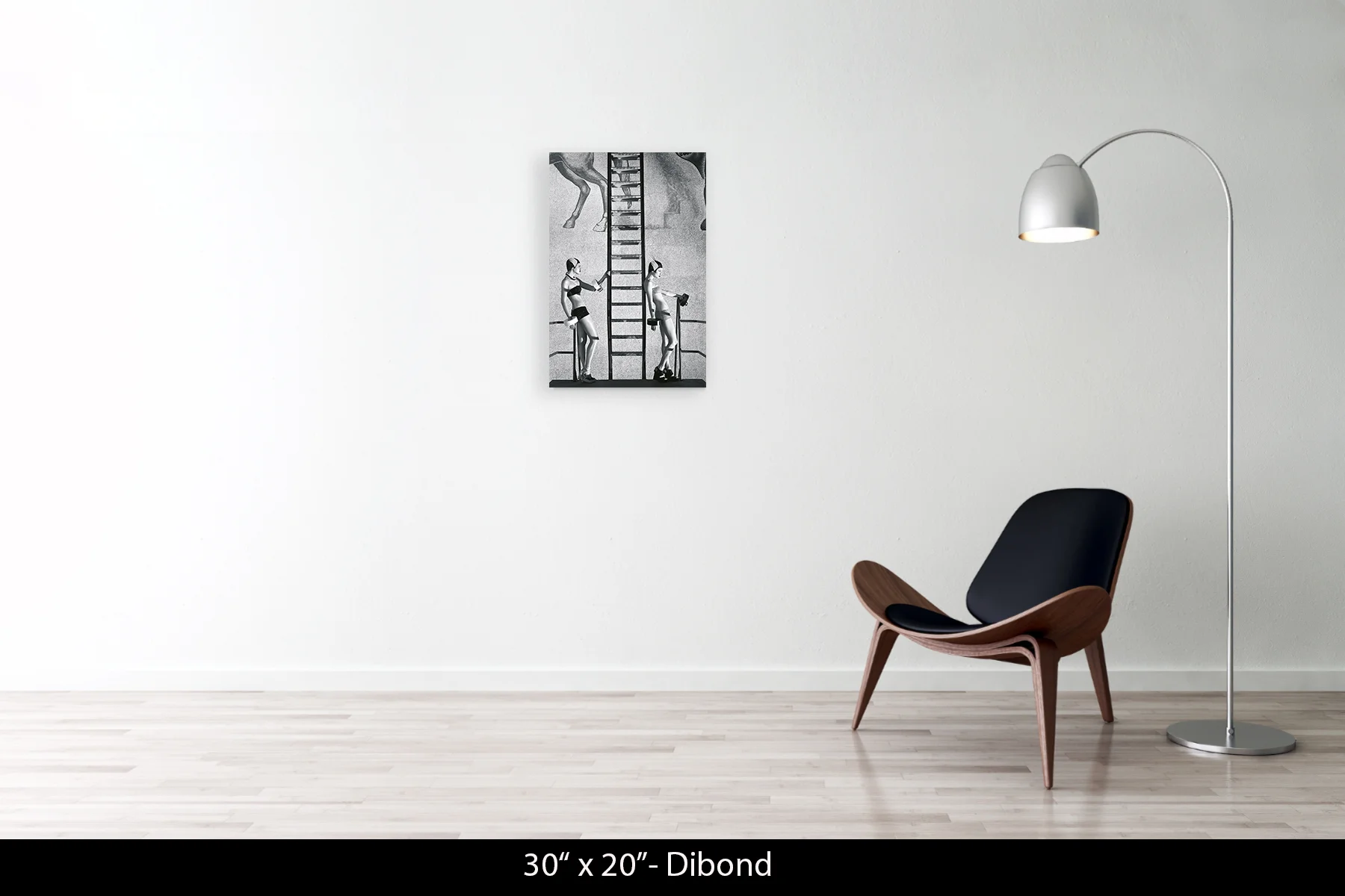 30"x20" | Dibond