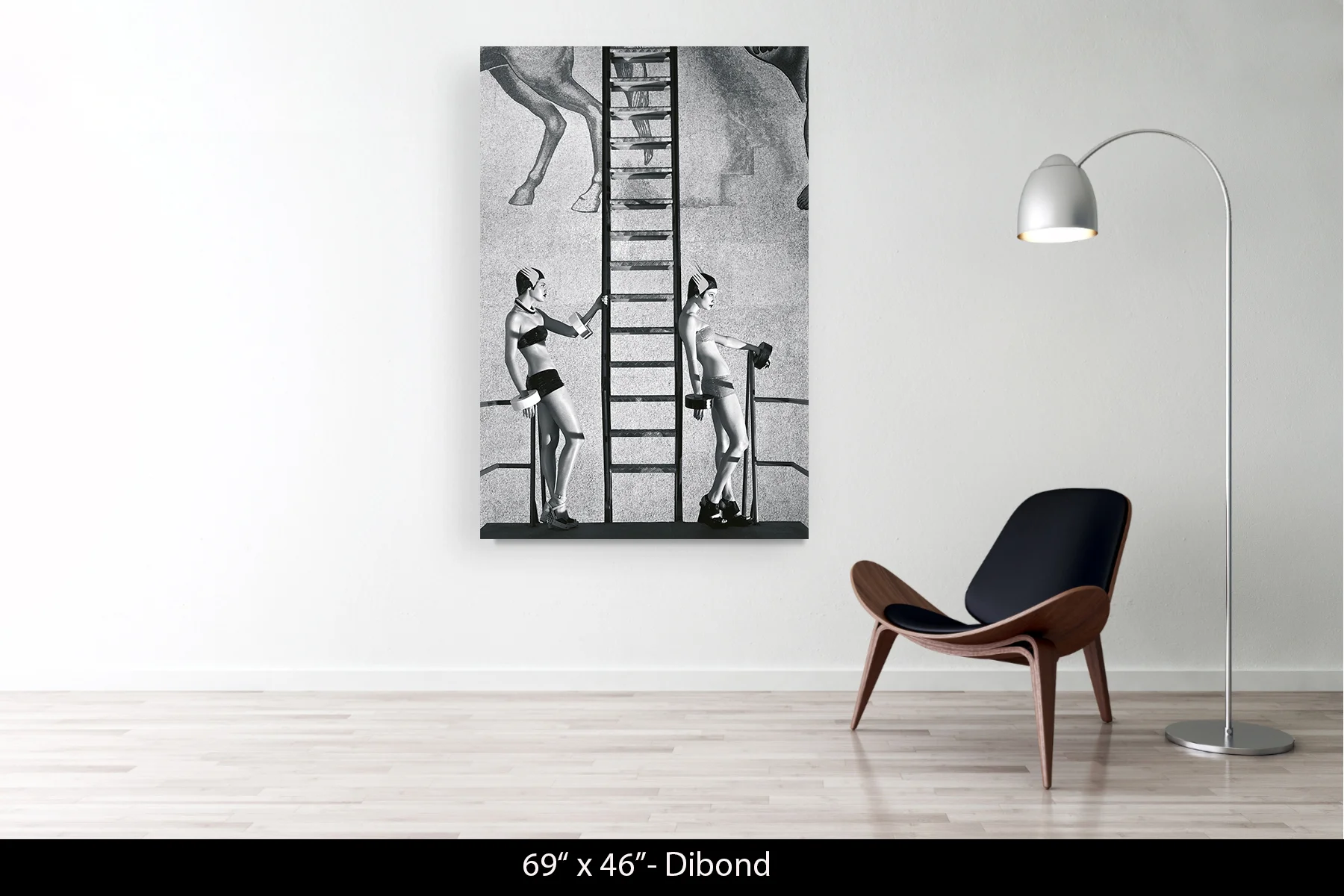 69"x46" | Dibond