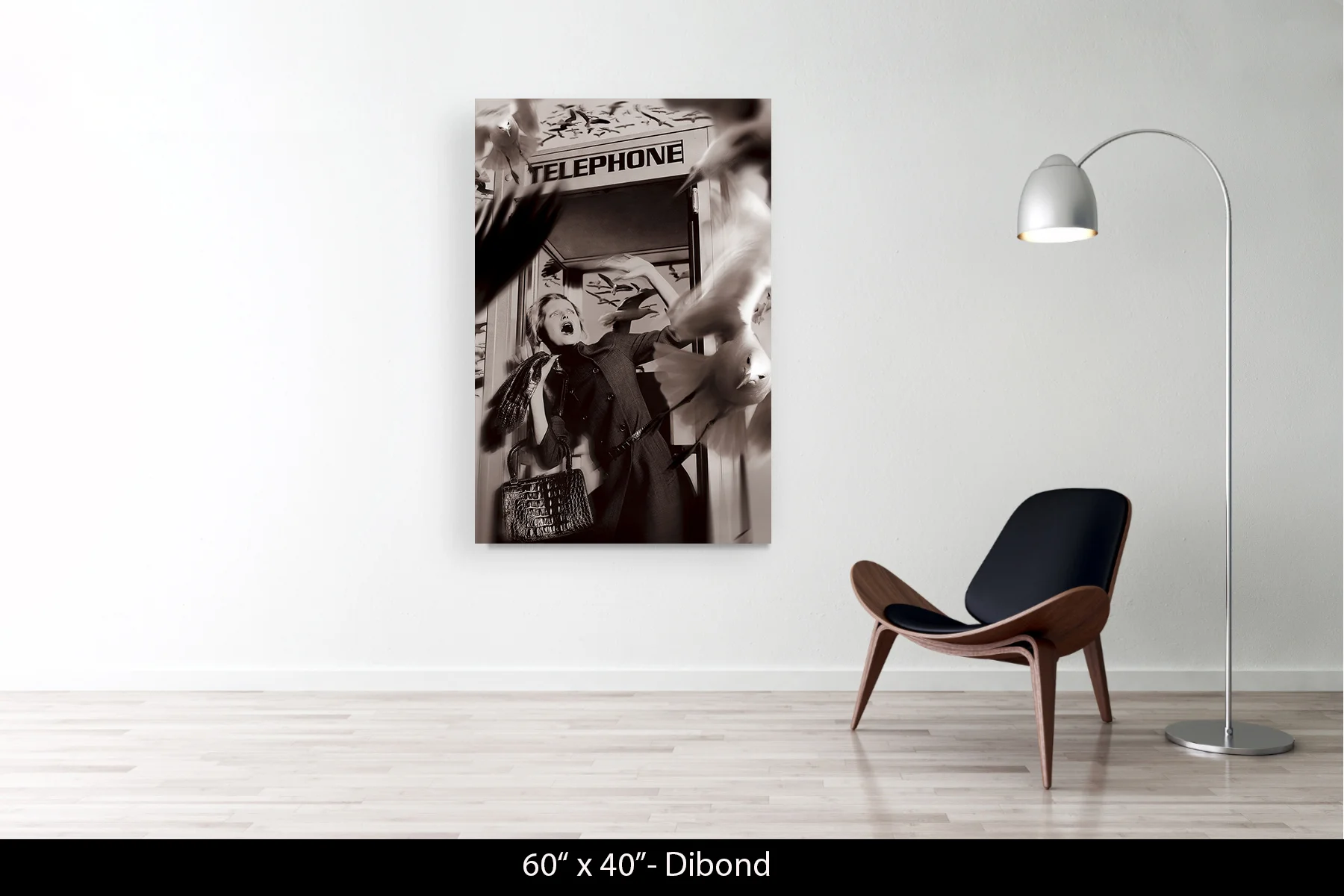 60"x40" | Dibond