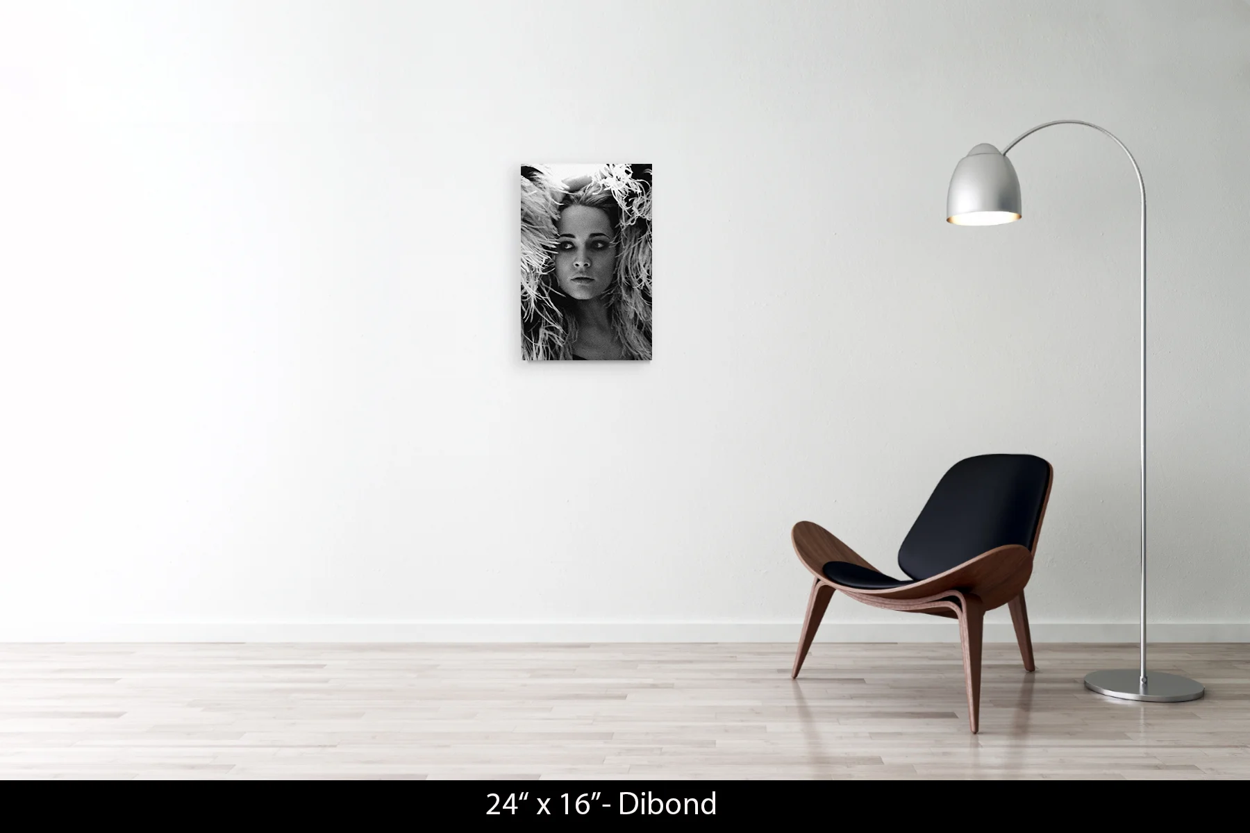 24"x16" | Dibond