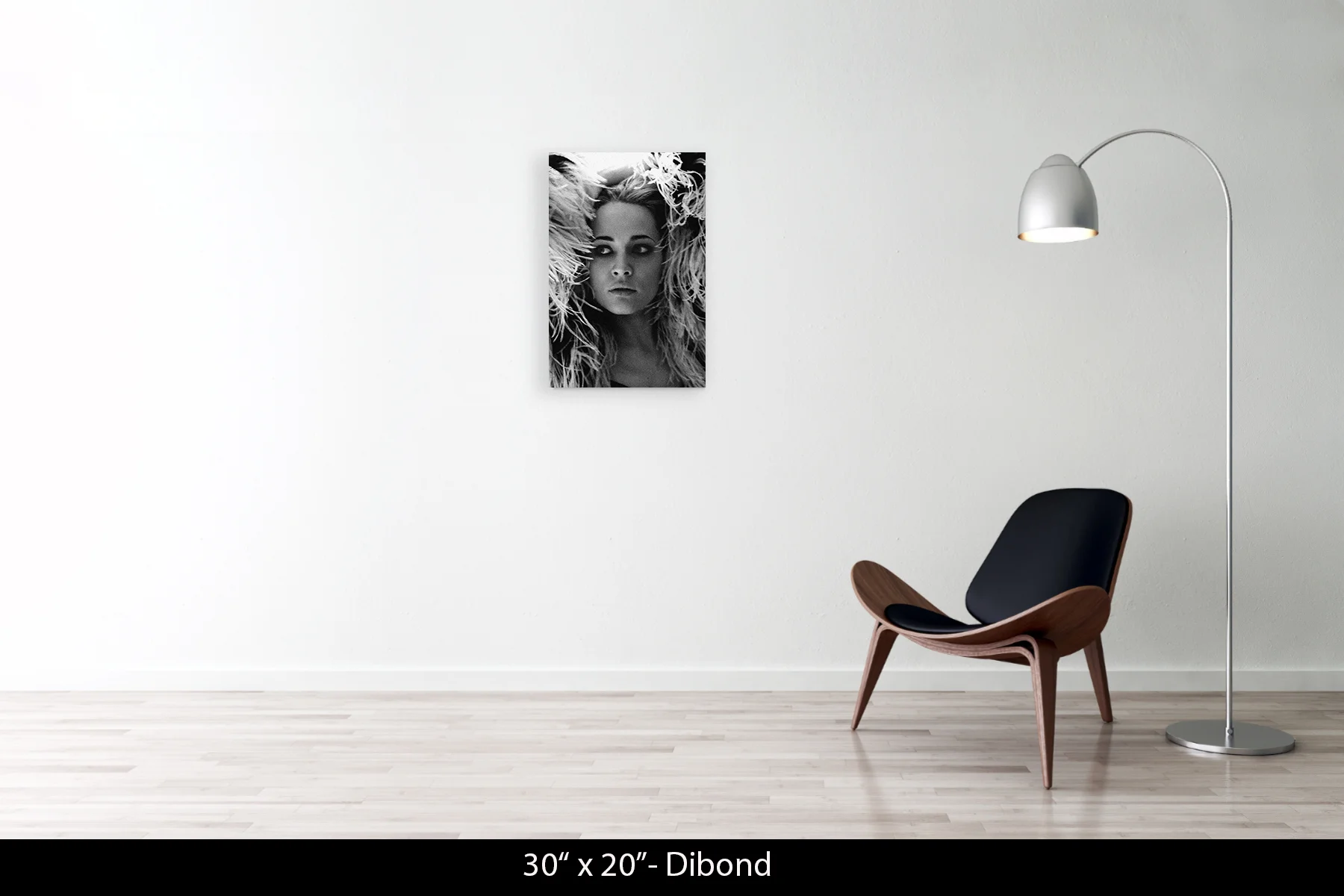30"x20" | Dibond