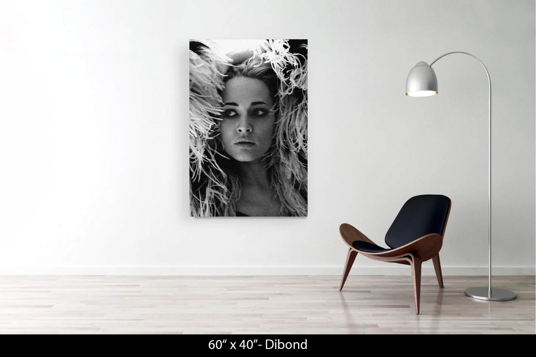 60"x40" | Dibond