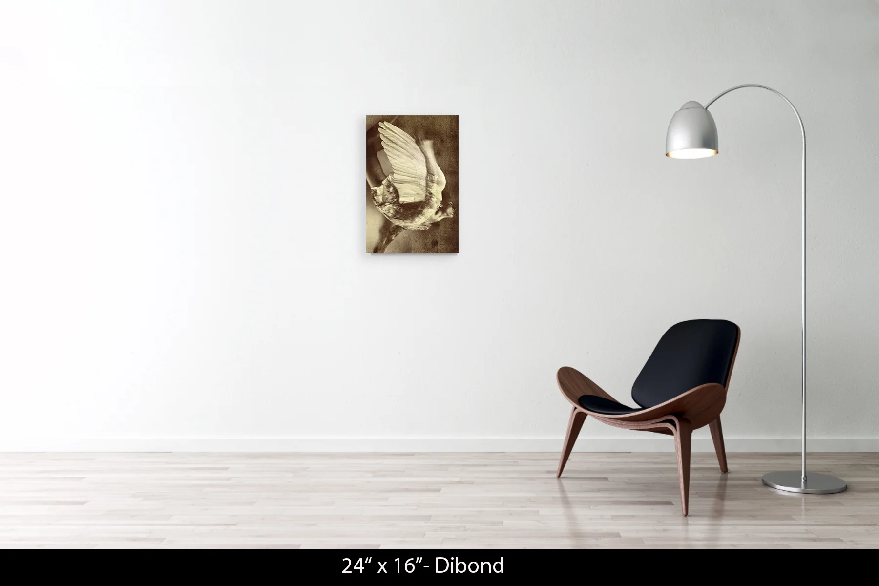 24"x16" | Dibond