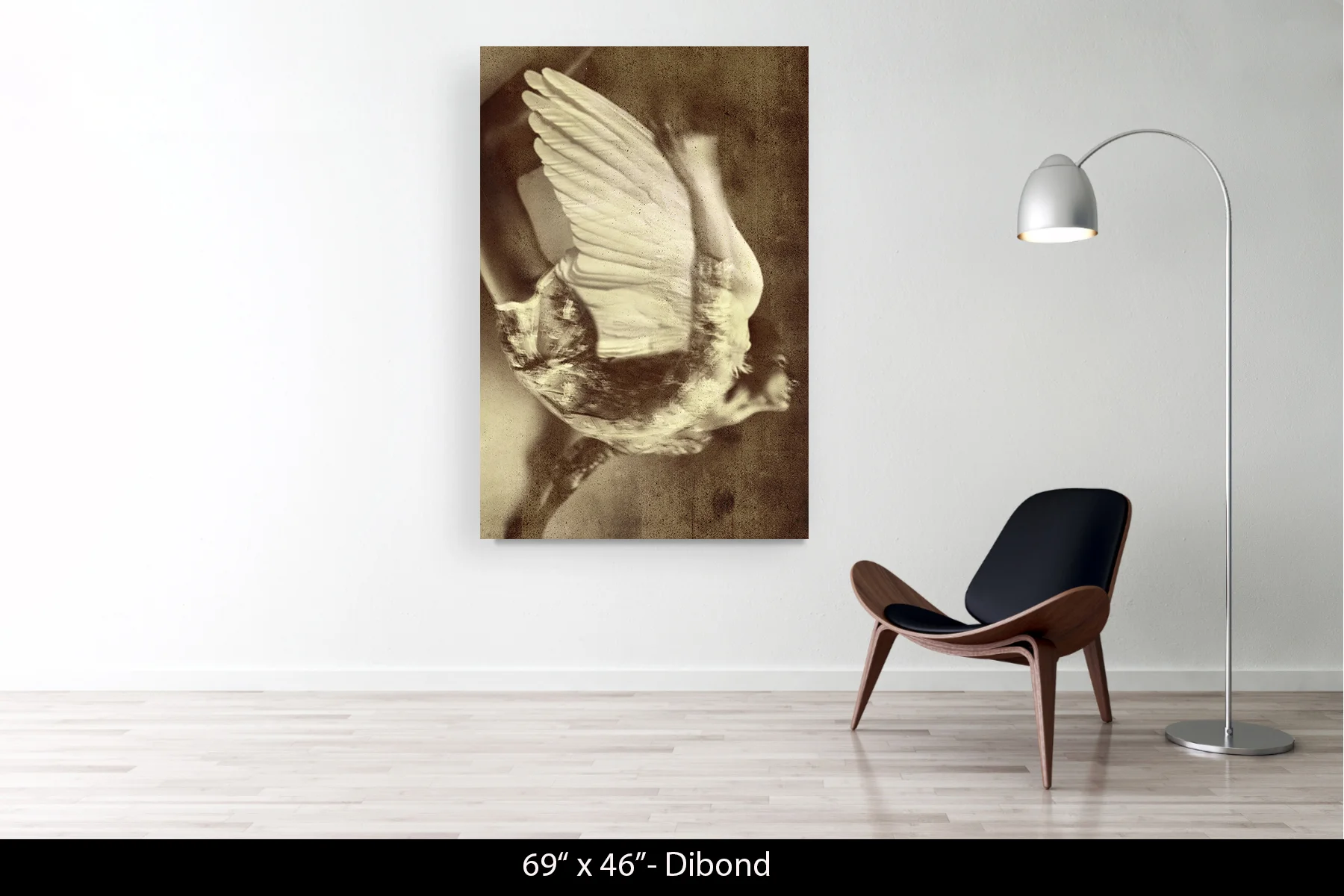 69"x46" | Dibond