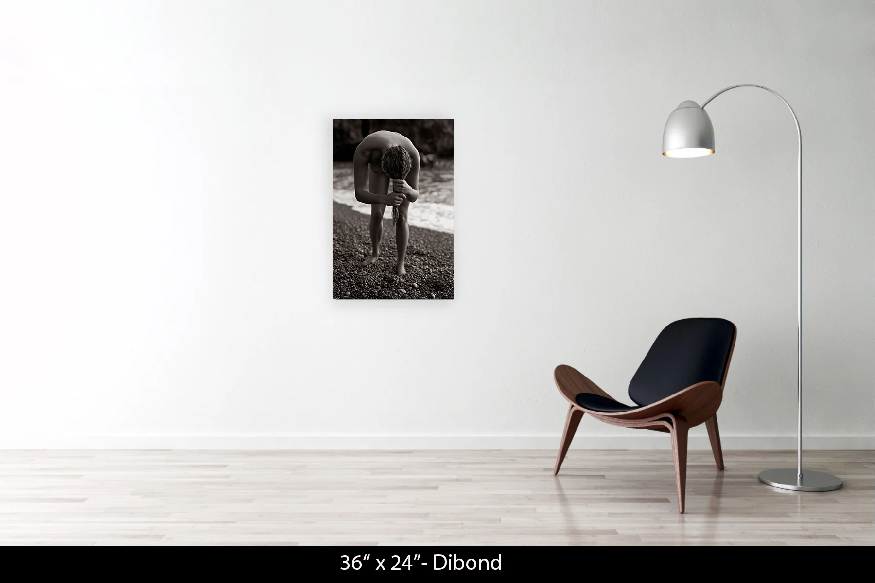 36"x24" | Dibond