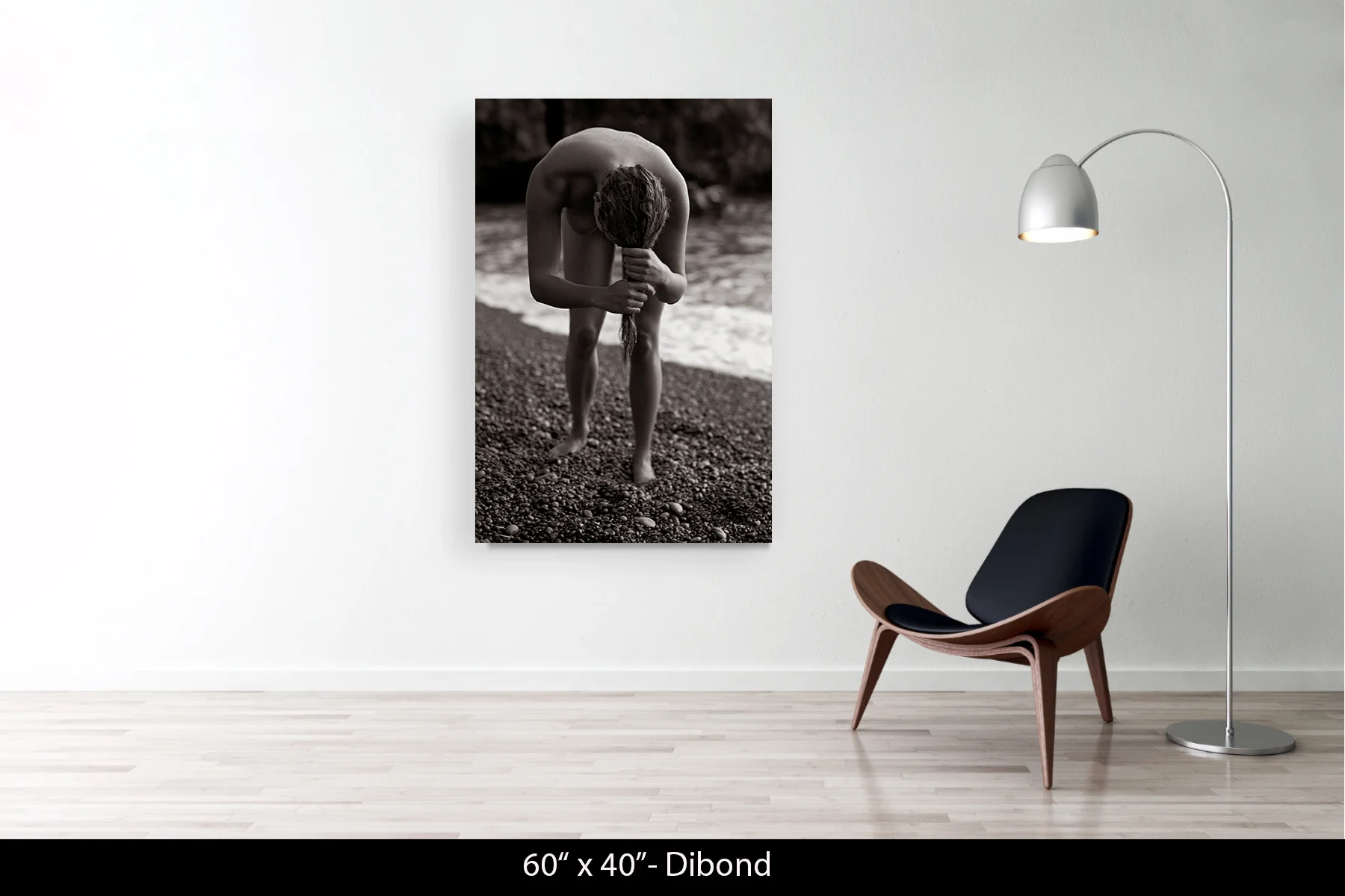 60"x40" | Dibond