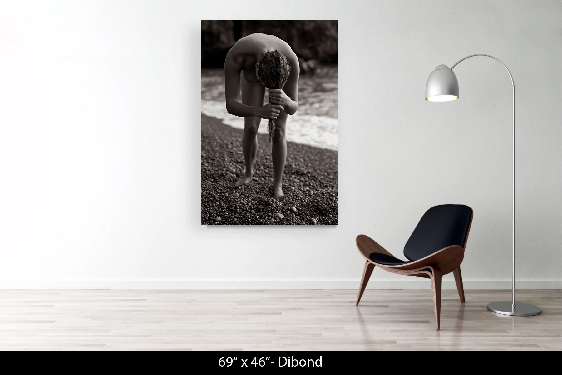 69"x46" | Dibond