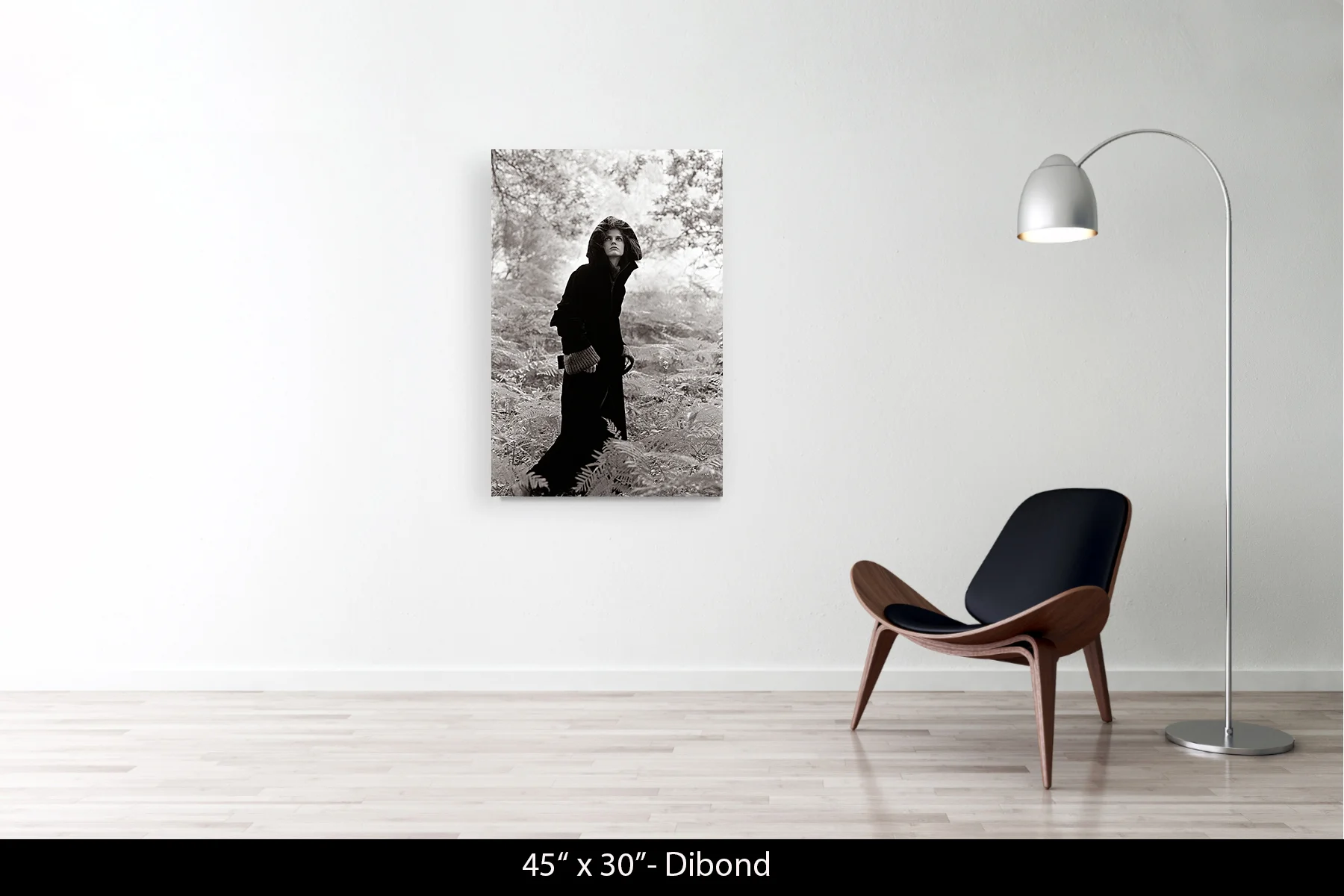 45"x30" | Dibond