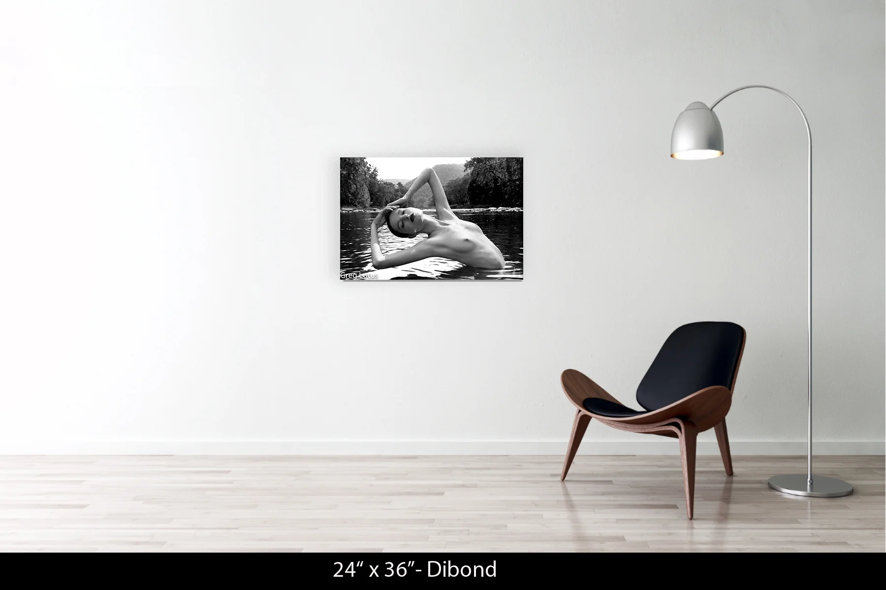 24"x36" | Dibond