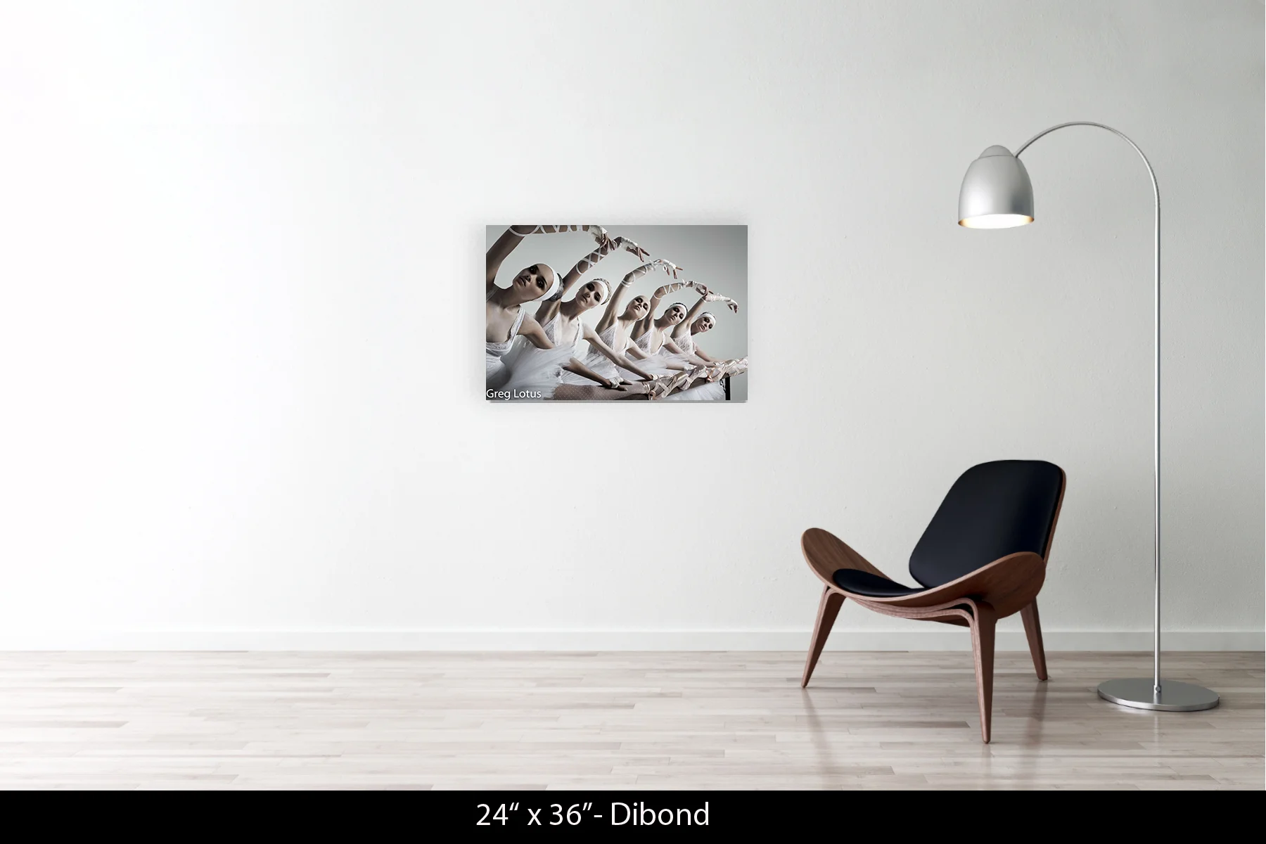 24"x36" | Dibond