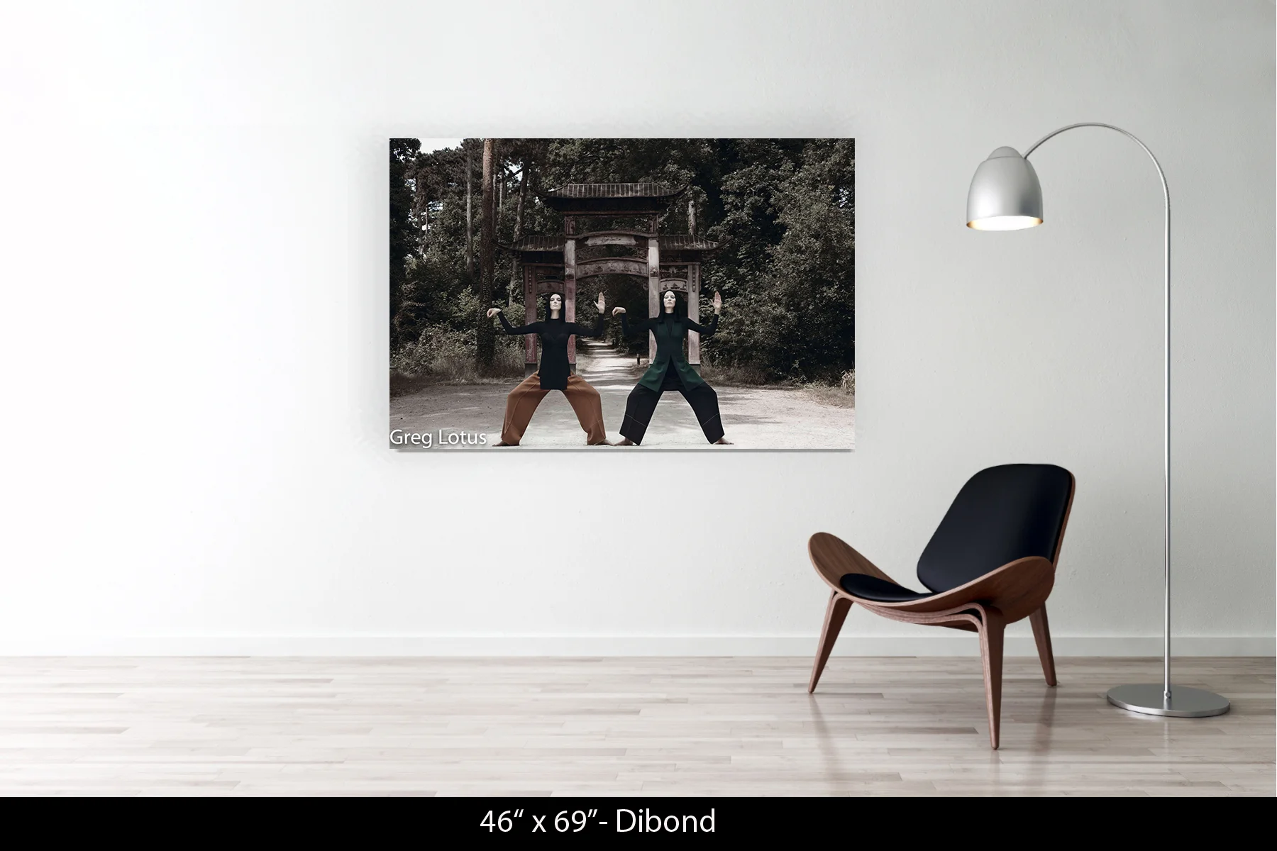46"x69" | Dibond