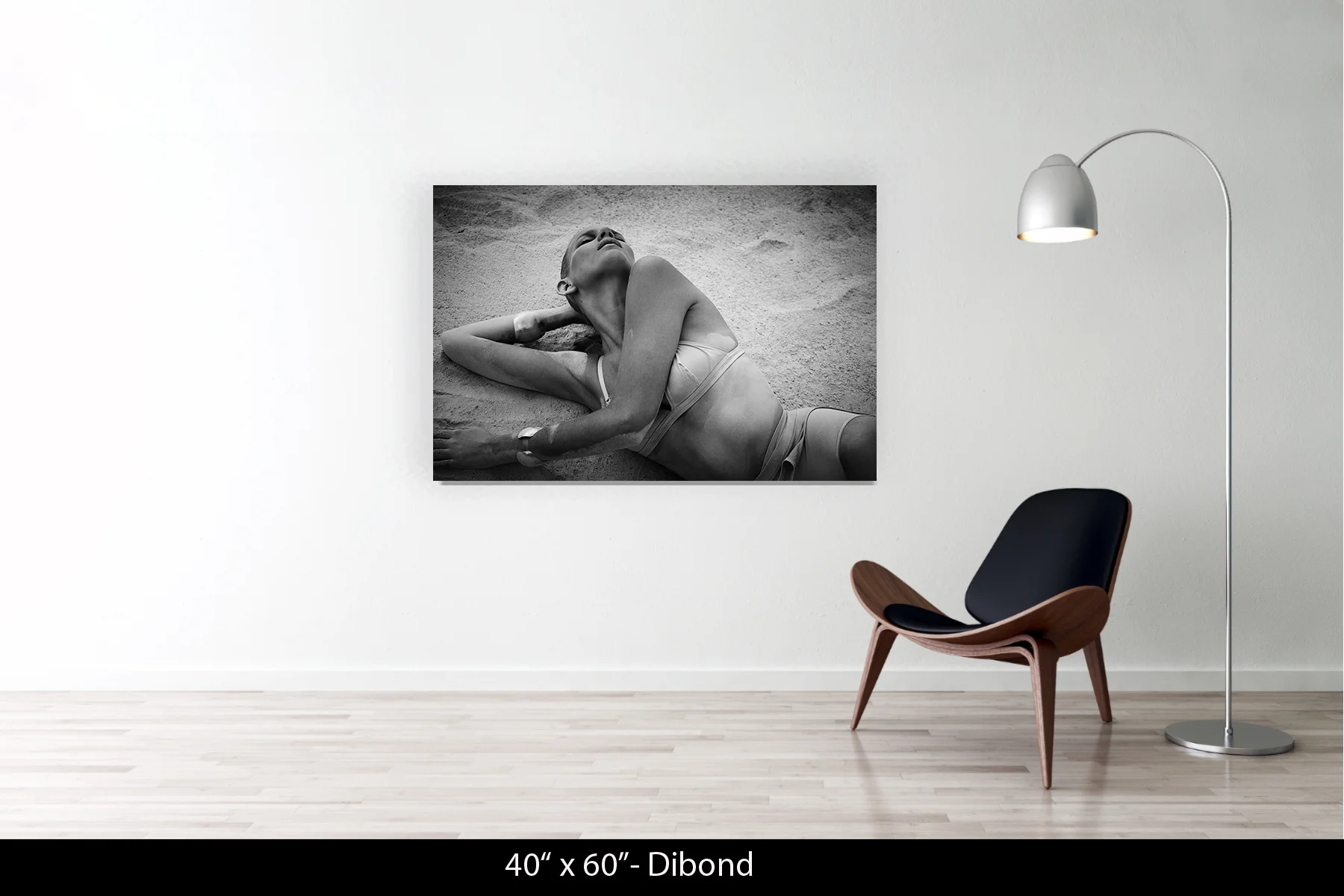 40"x60" | Dibond