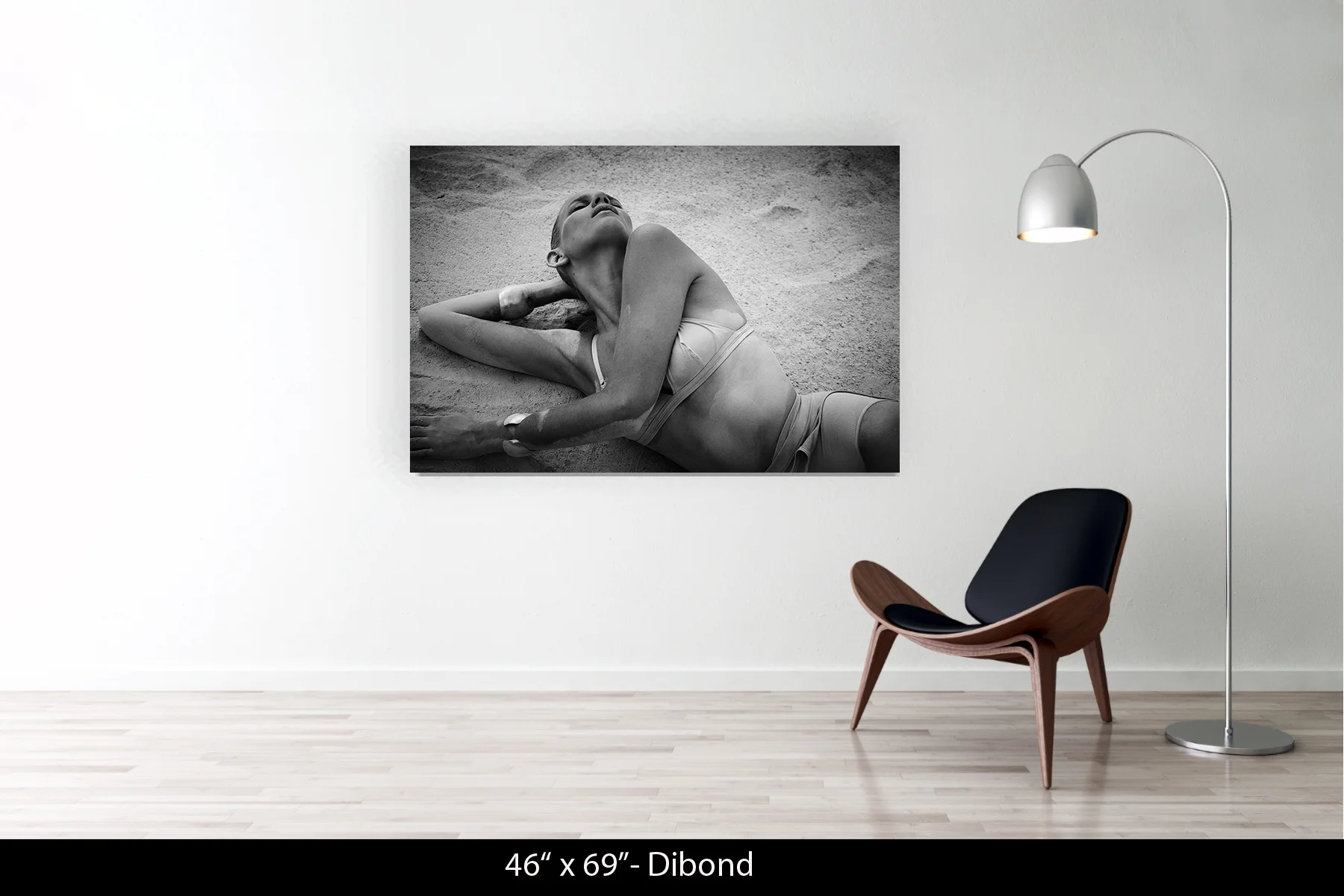 46"x69" | Dibond