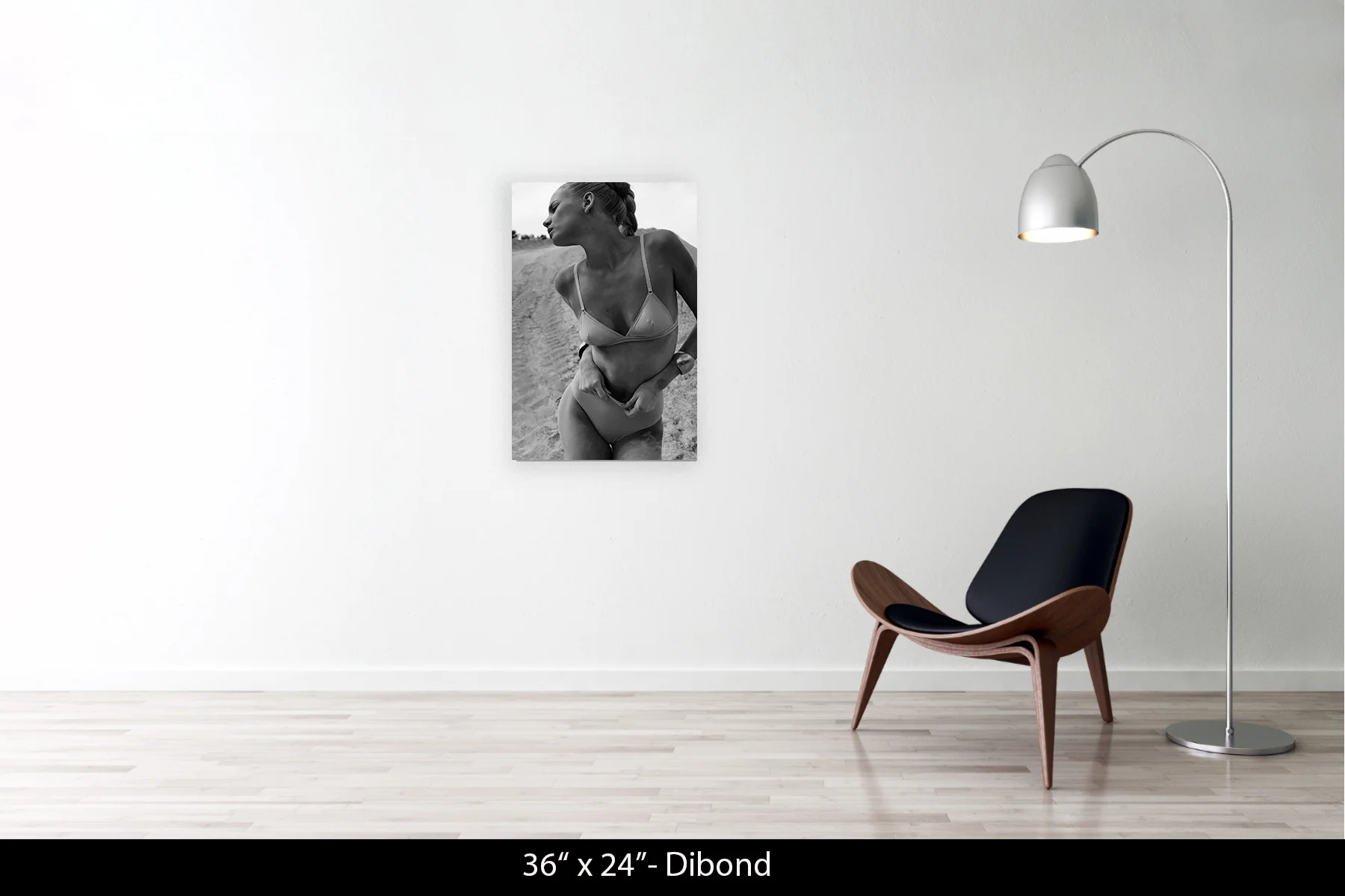 36"x24" | Dibond
